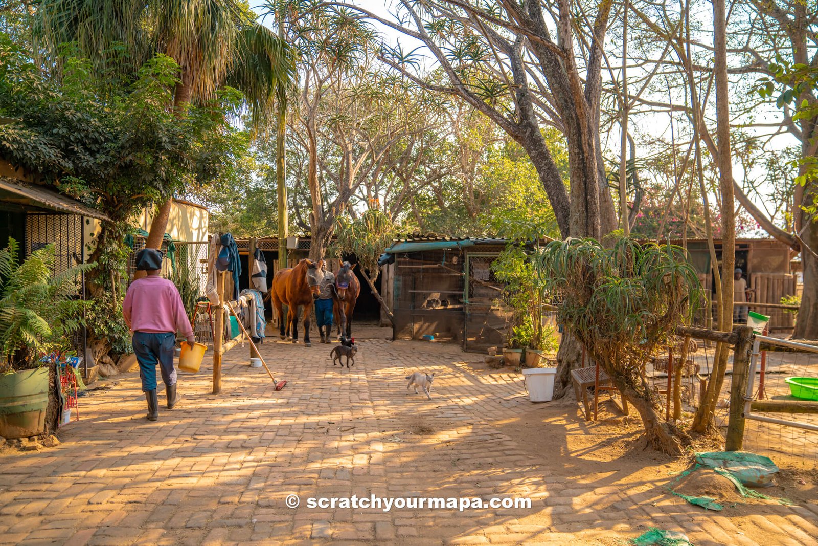Nyanza Guest House farm - best things to do in Eswatini