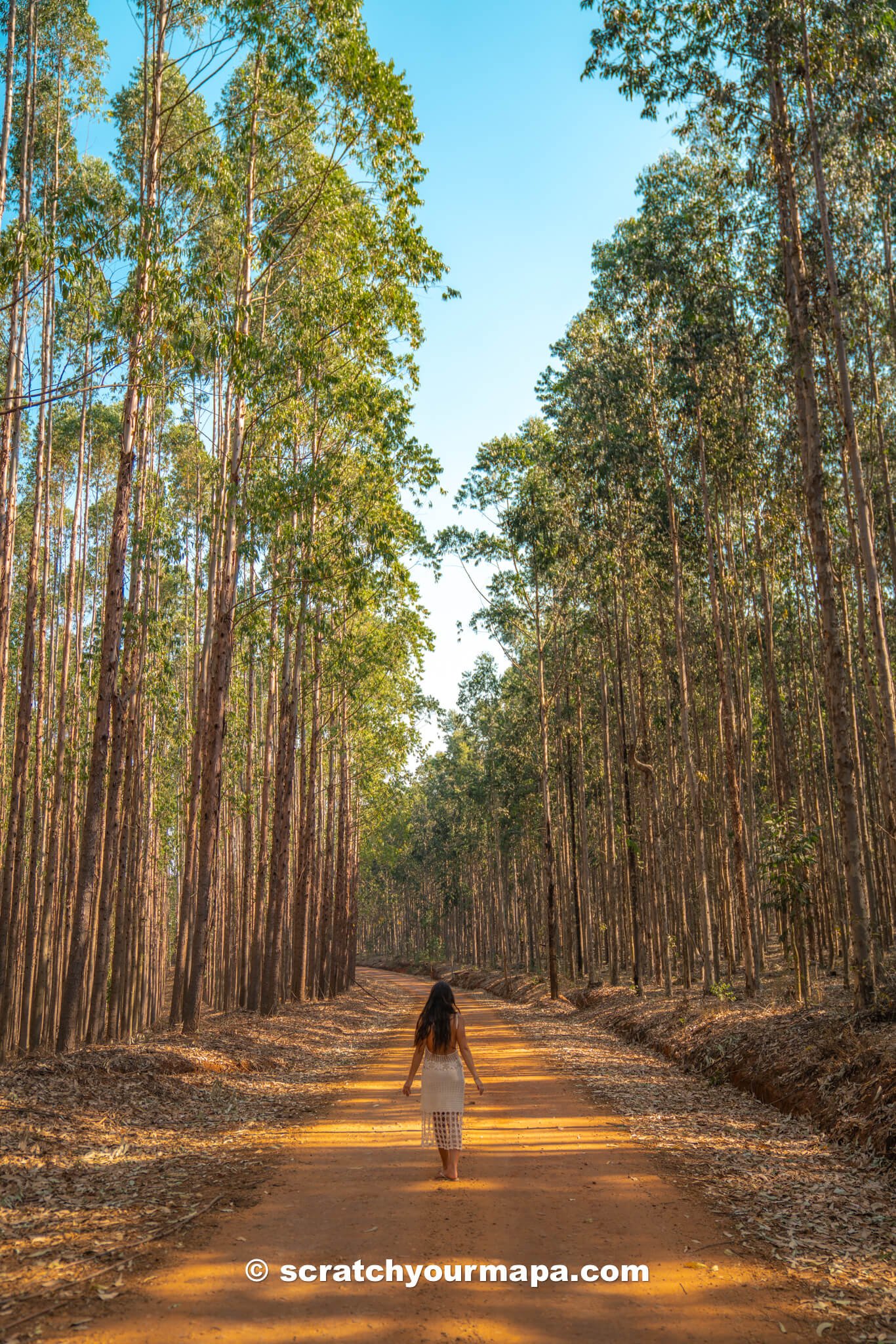 Eswatini travel guide - is Eswatini worth visiting?