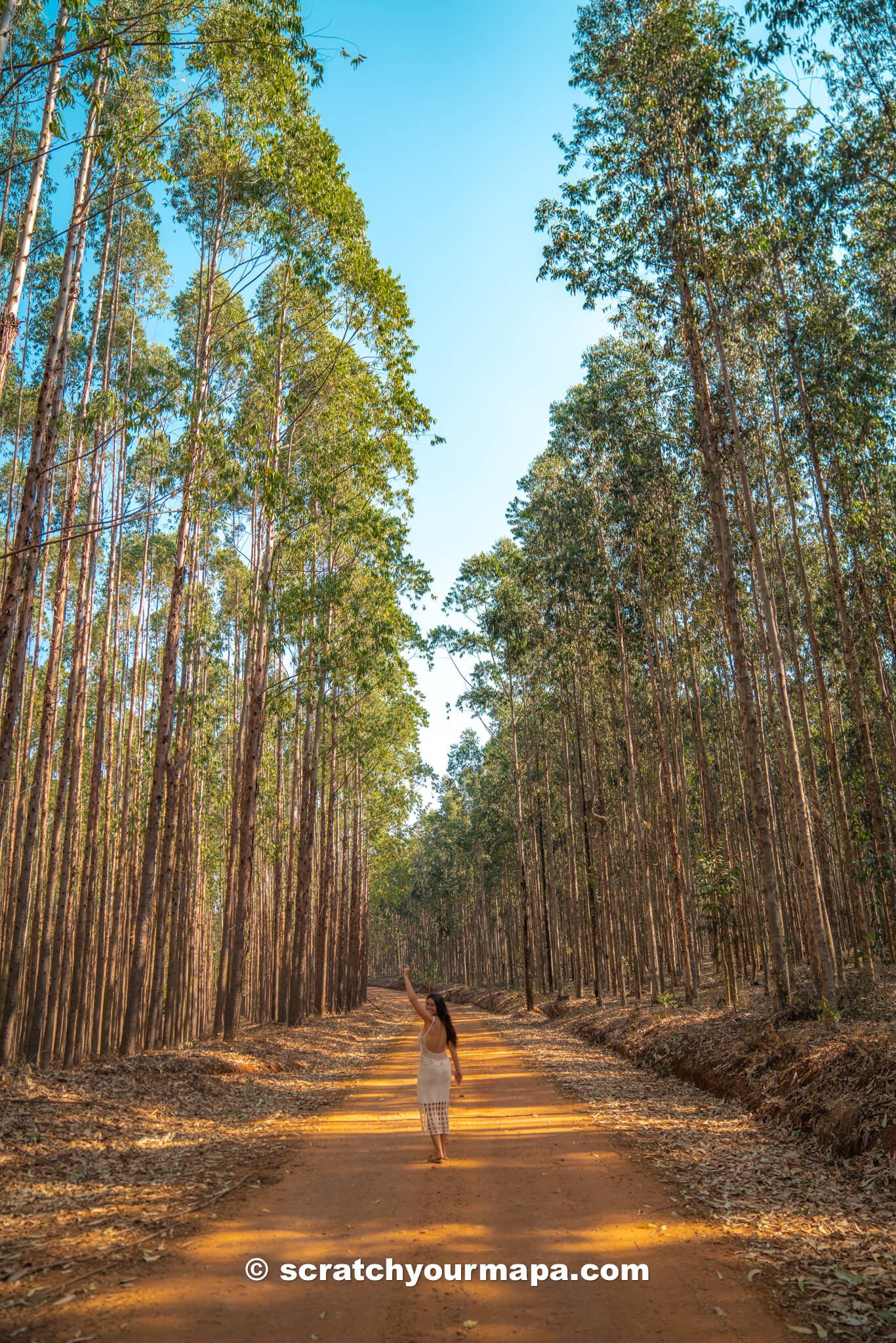 How to get to Eswatini (travel guide)