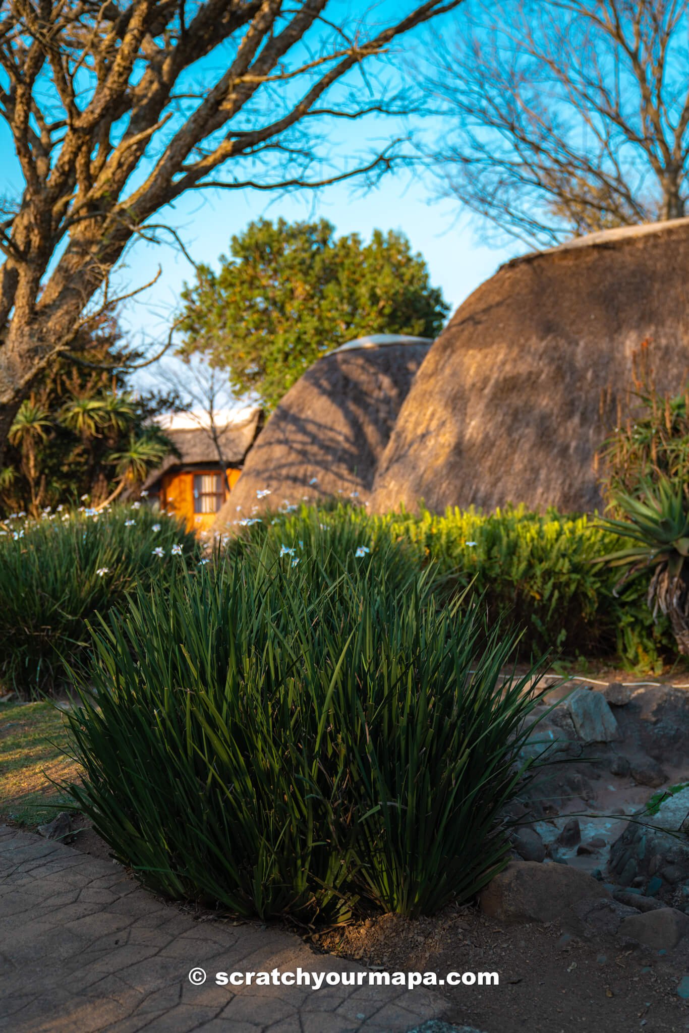staying at the Beehive huts in Eswatini
