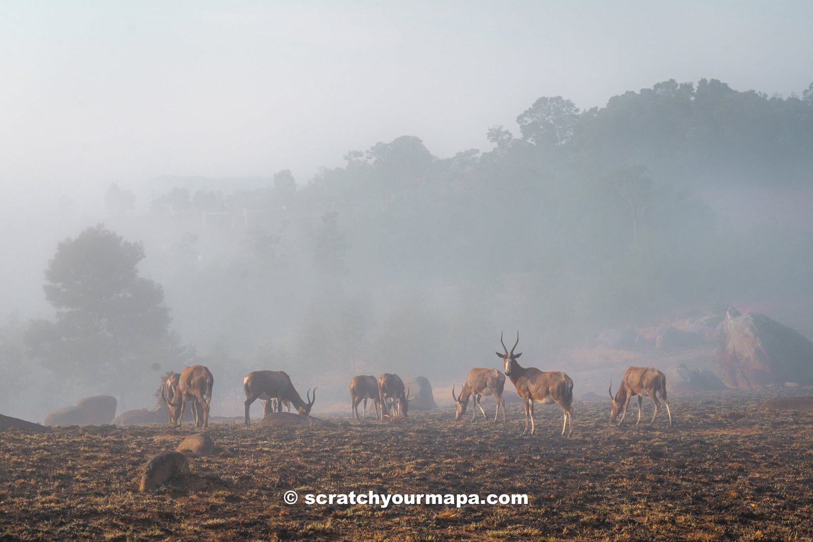 things to do in Eswatini - Eswatini travel guide