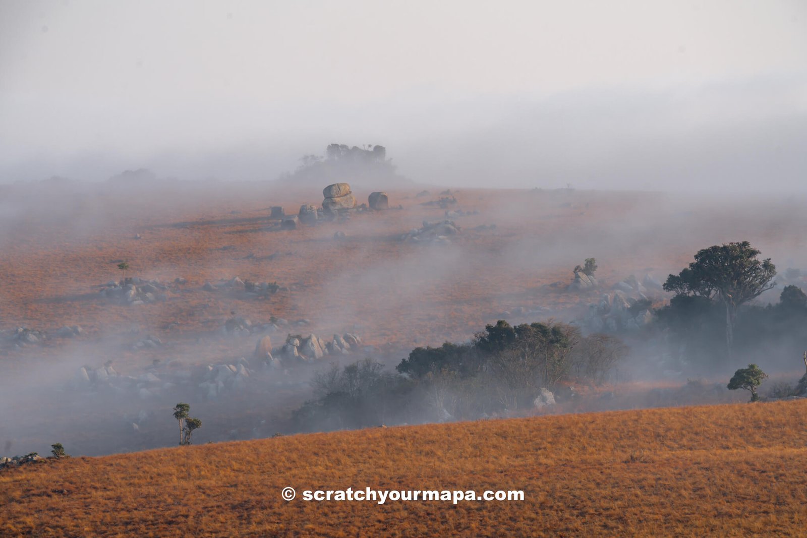 the best game reserves in Eswatini