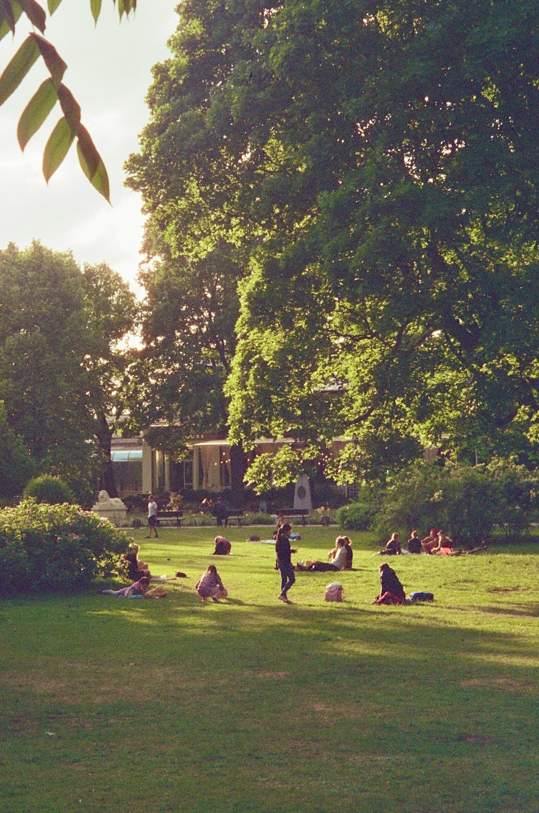 a group of people sitting on top of a lush green field