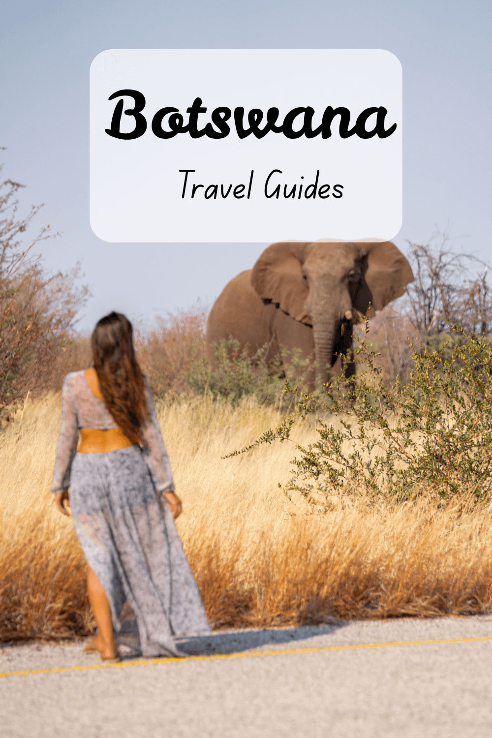 Botswana travel guides