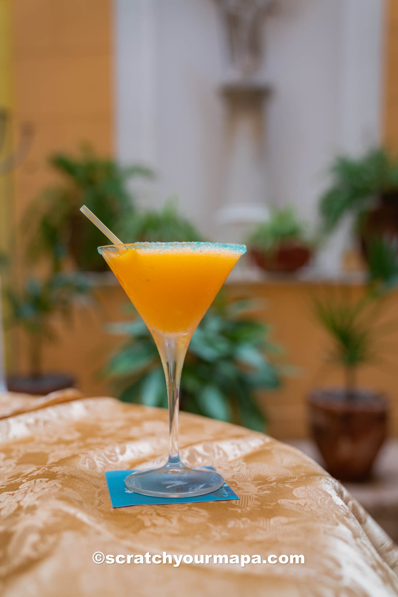 Daiquiri in Havana - what to eat in Cuba