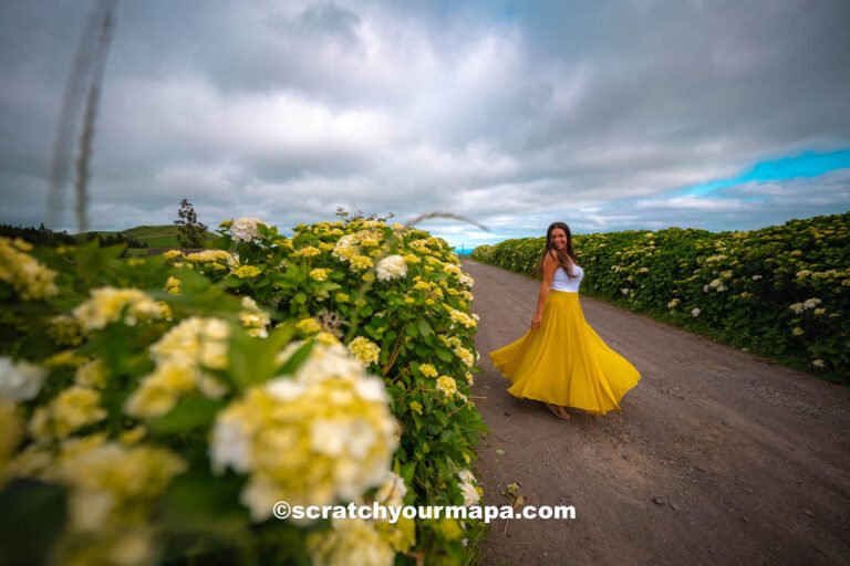 road of hydrangeas - best photo spots in Terceira