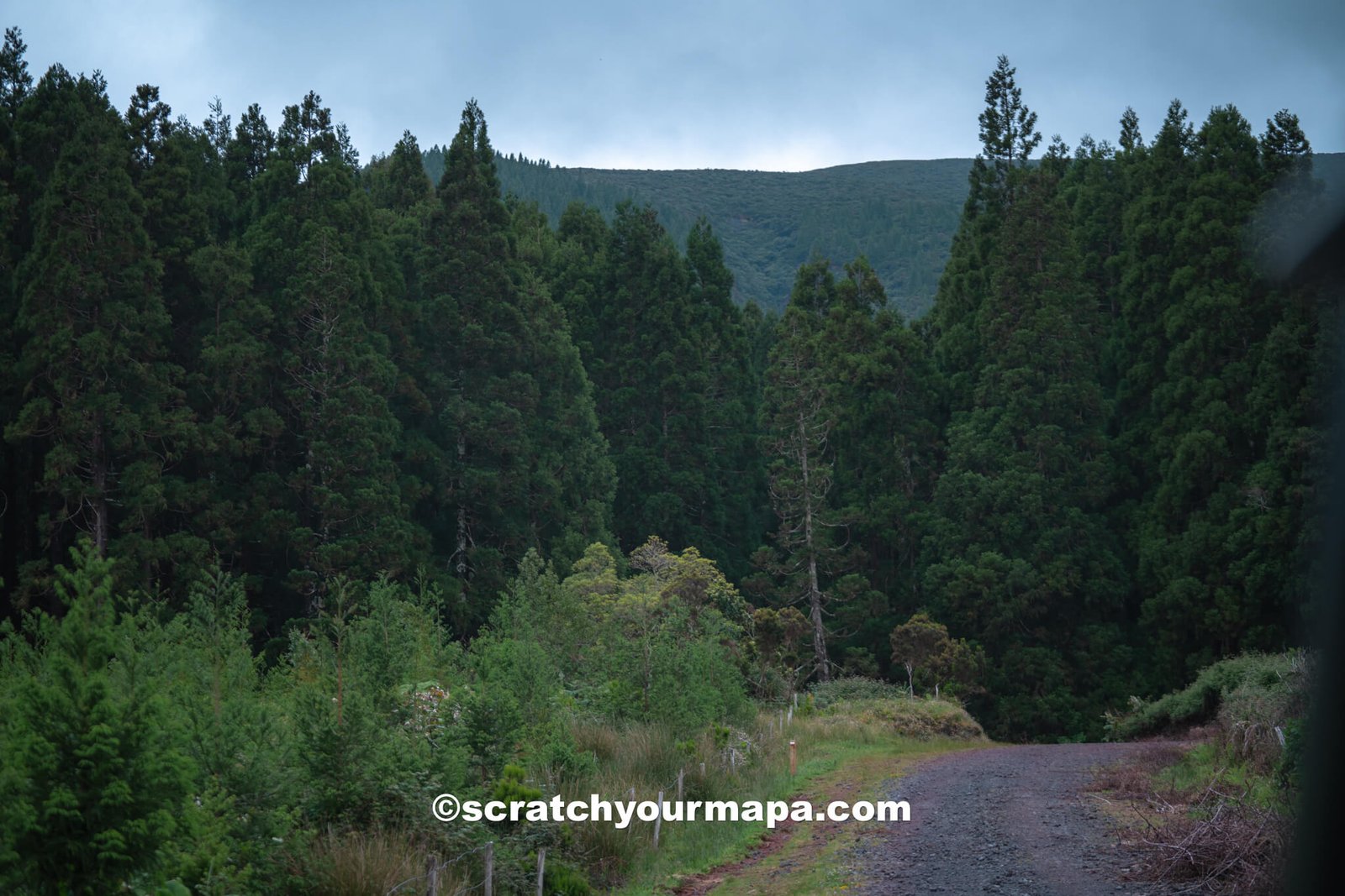 The Azores or Madeira?