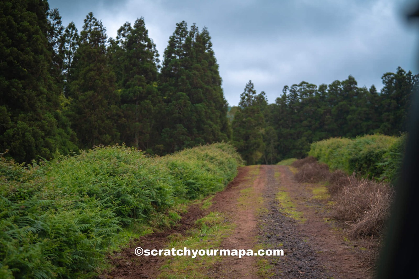 how much time to travel to Terceira, Azores