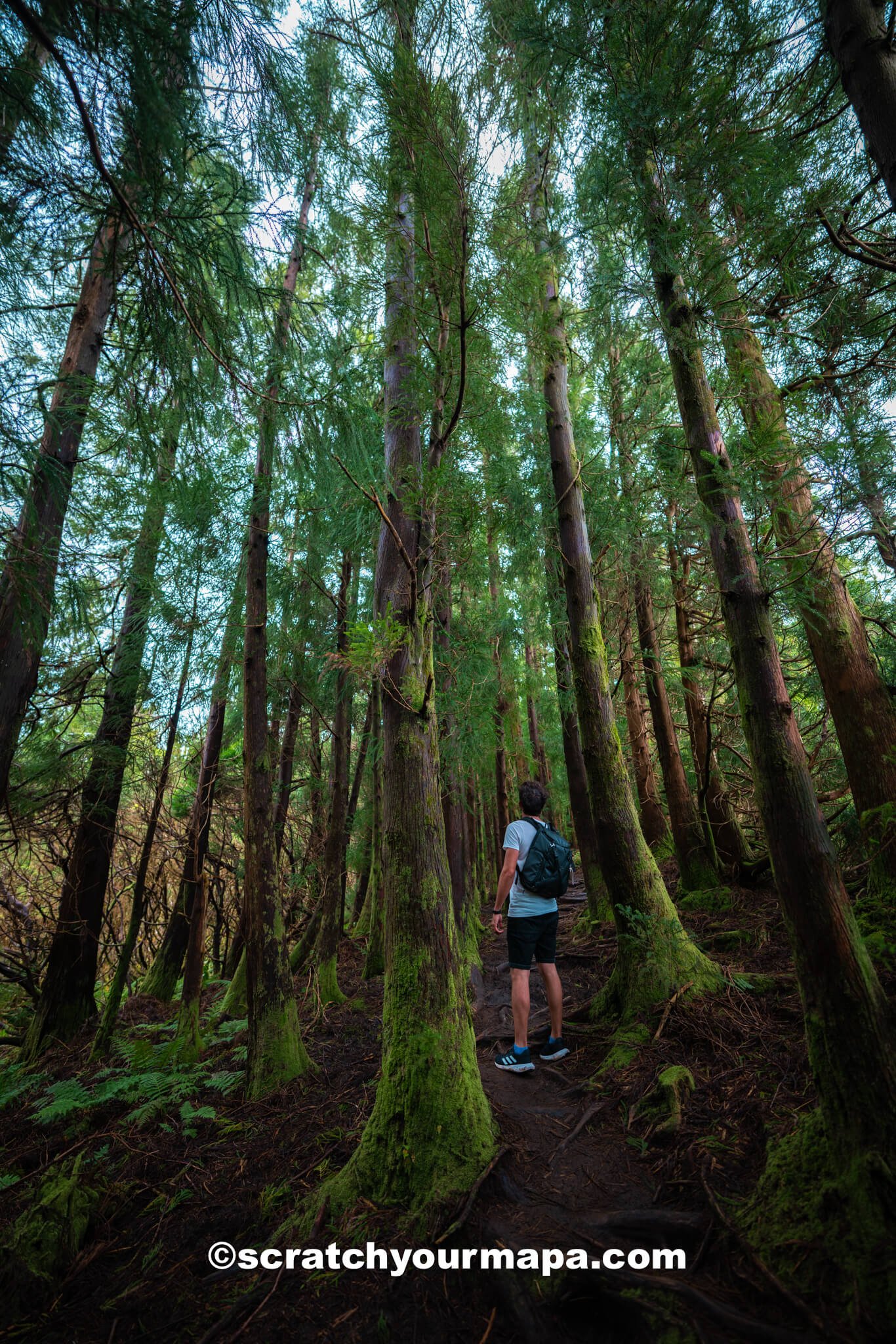 Misterios Negros hiking trail - things to do in Terceira, Portugal