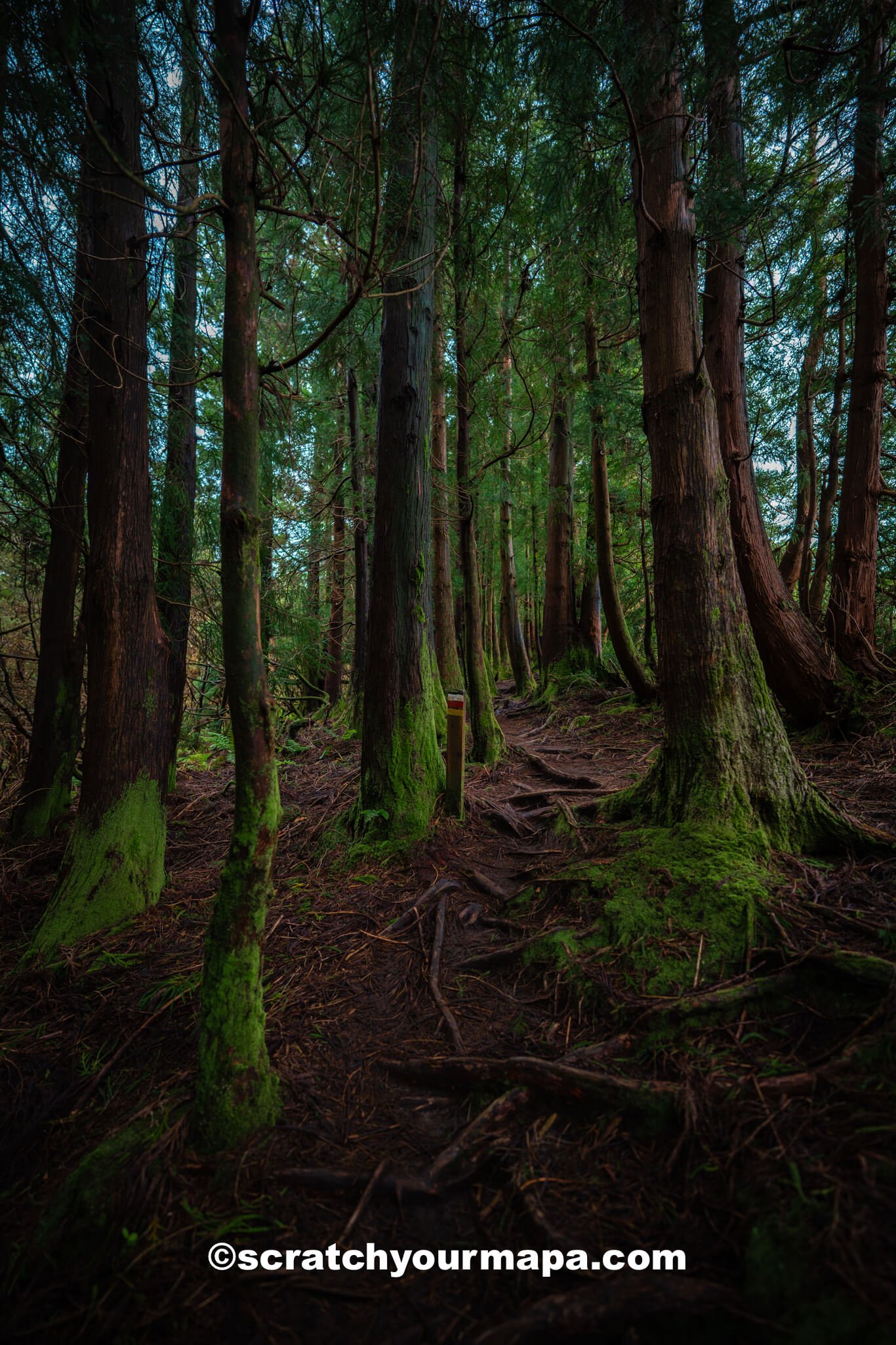 Misterios Negros - best photo spots in Terceira, Azores