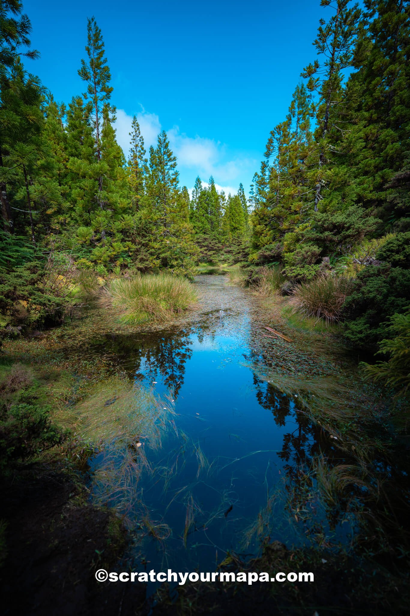 Misterios Negros hiking trail - things to do in Terceira, Portugal