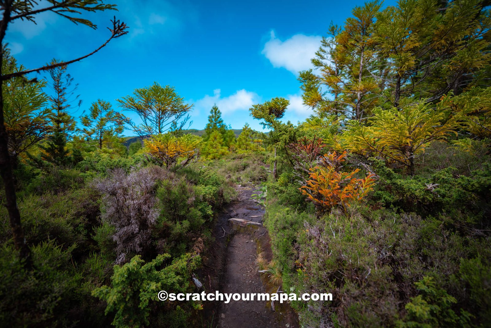 Misterios Negros hiking trail - things to do in Terceira, Portugal