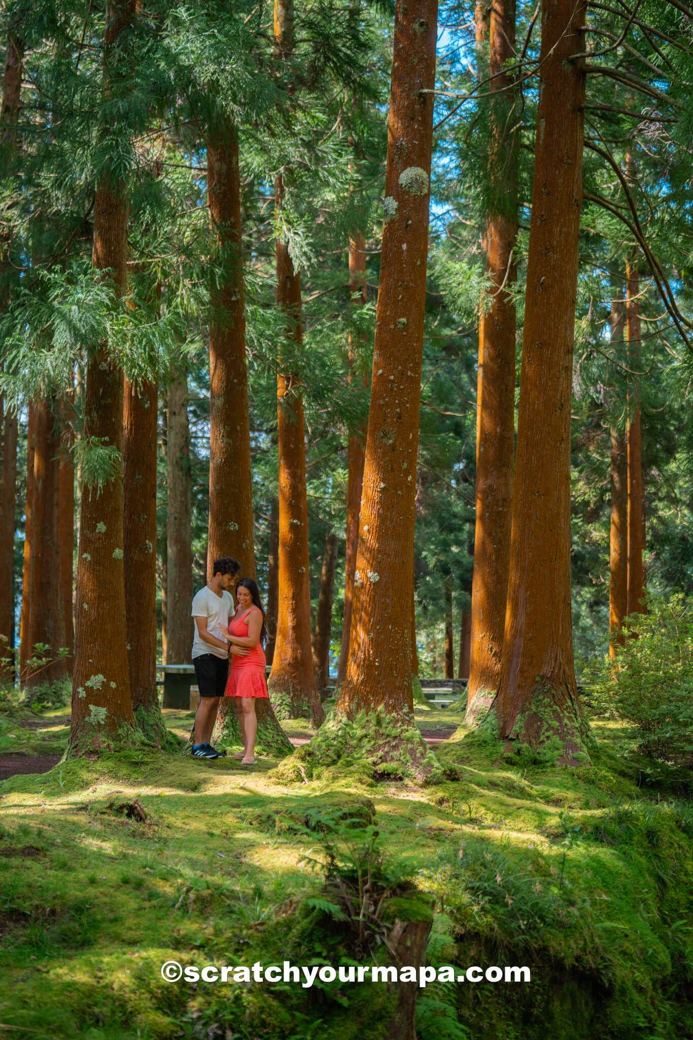 travel to Terceira, Azores