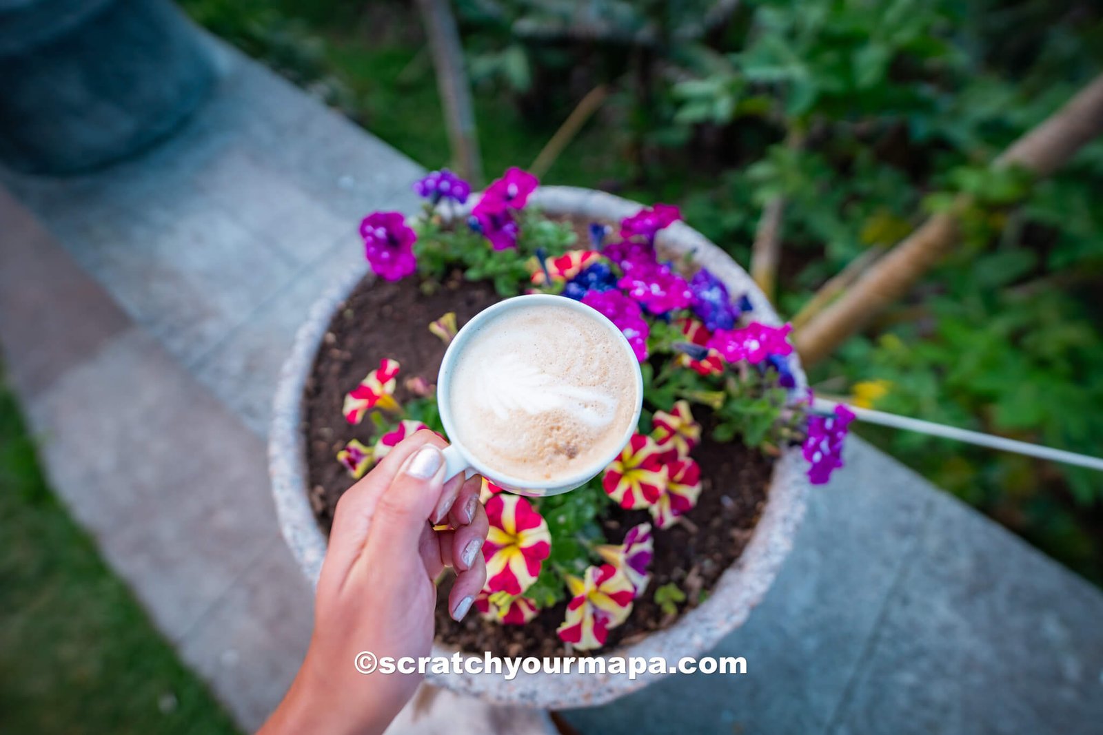 the best cafes in Terceira - Terceira, Azores food guide