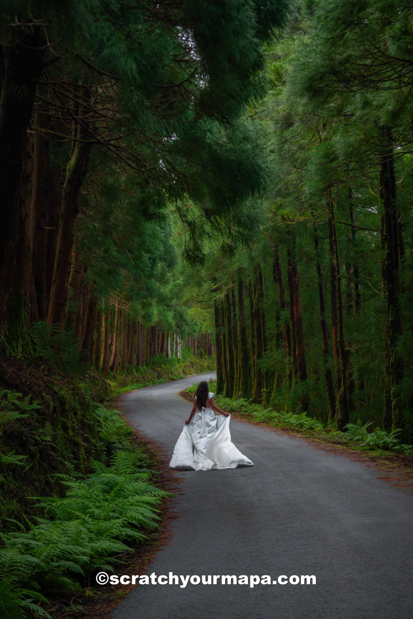 travel to Terceira, Azores