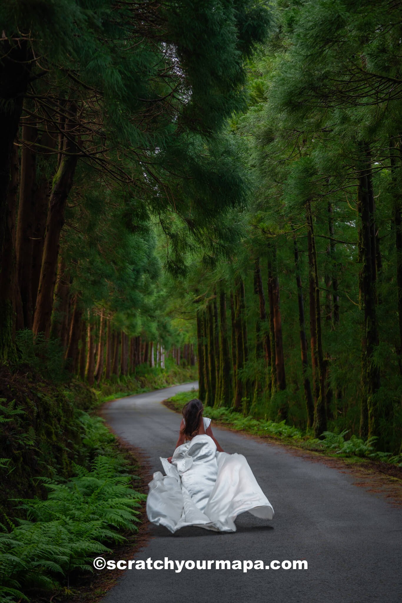 things to do in Terceira, Portugal
