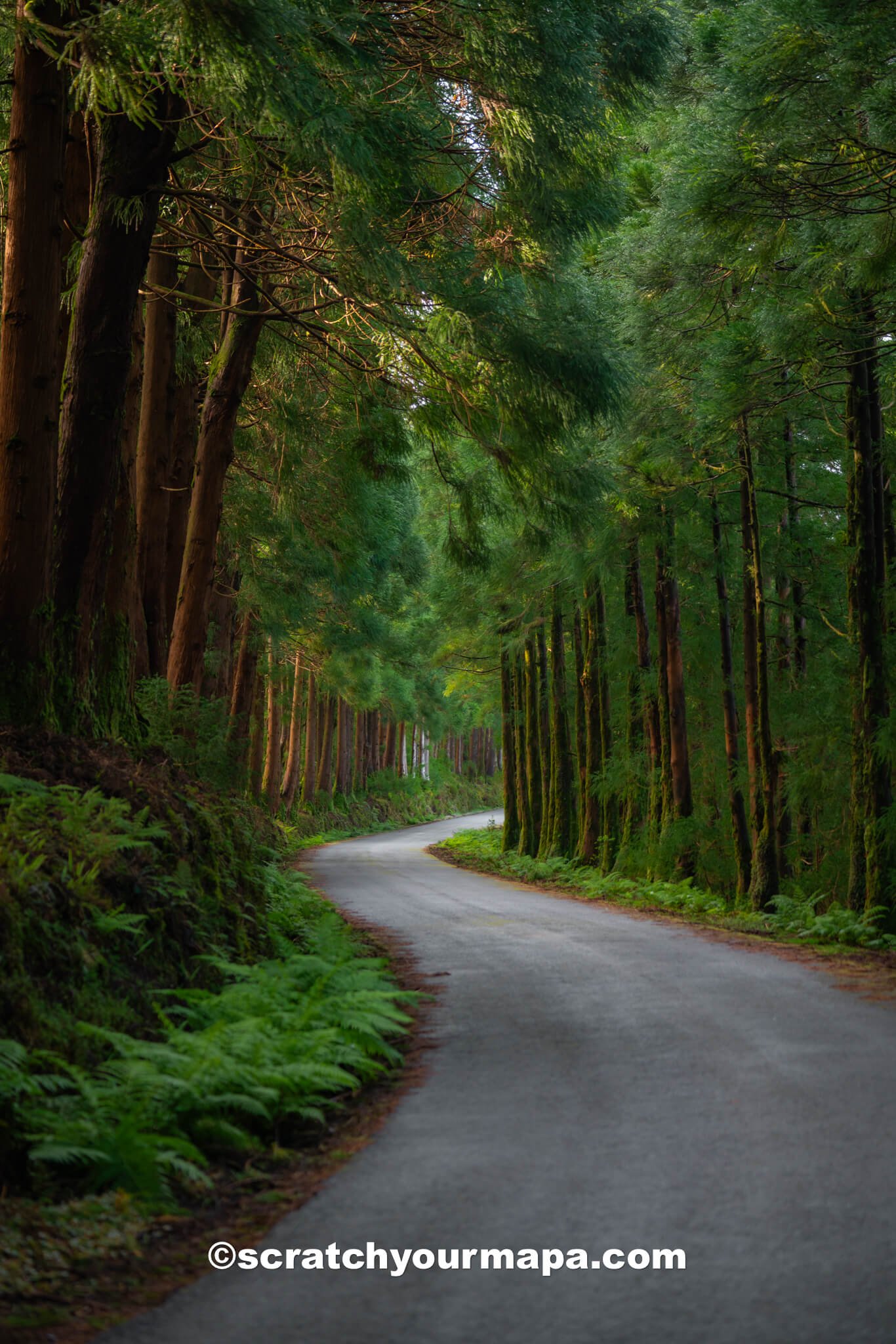how to get around the Azores by car