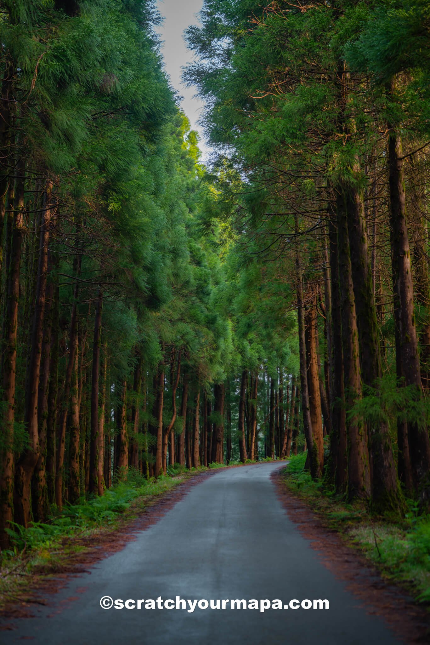 Terceira - how to get around the Azores
