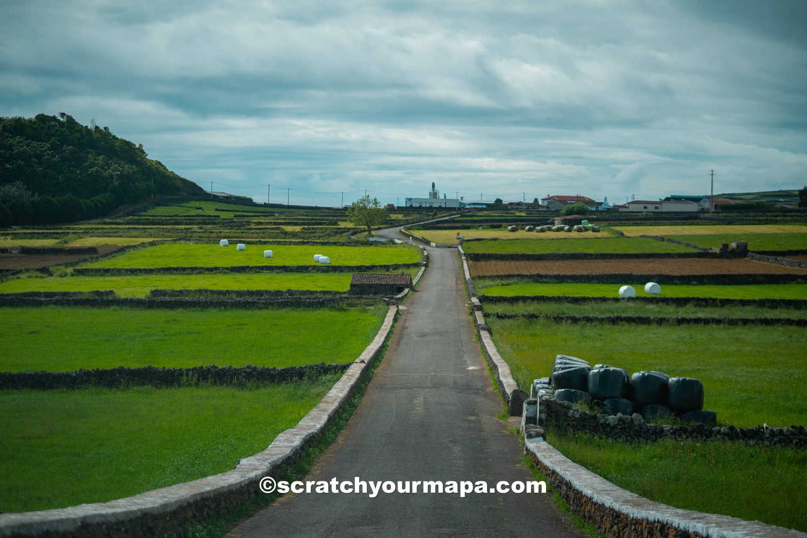 things to do in Terceira, Portugal