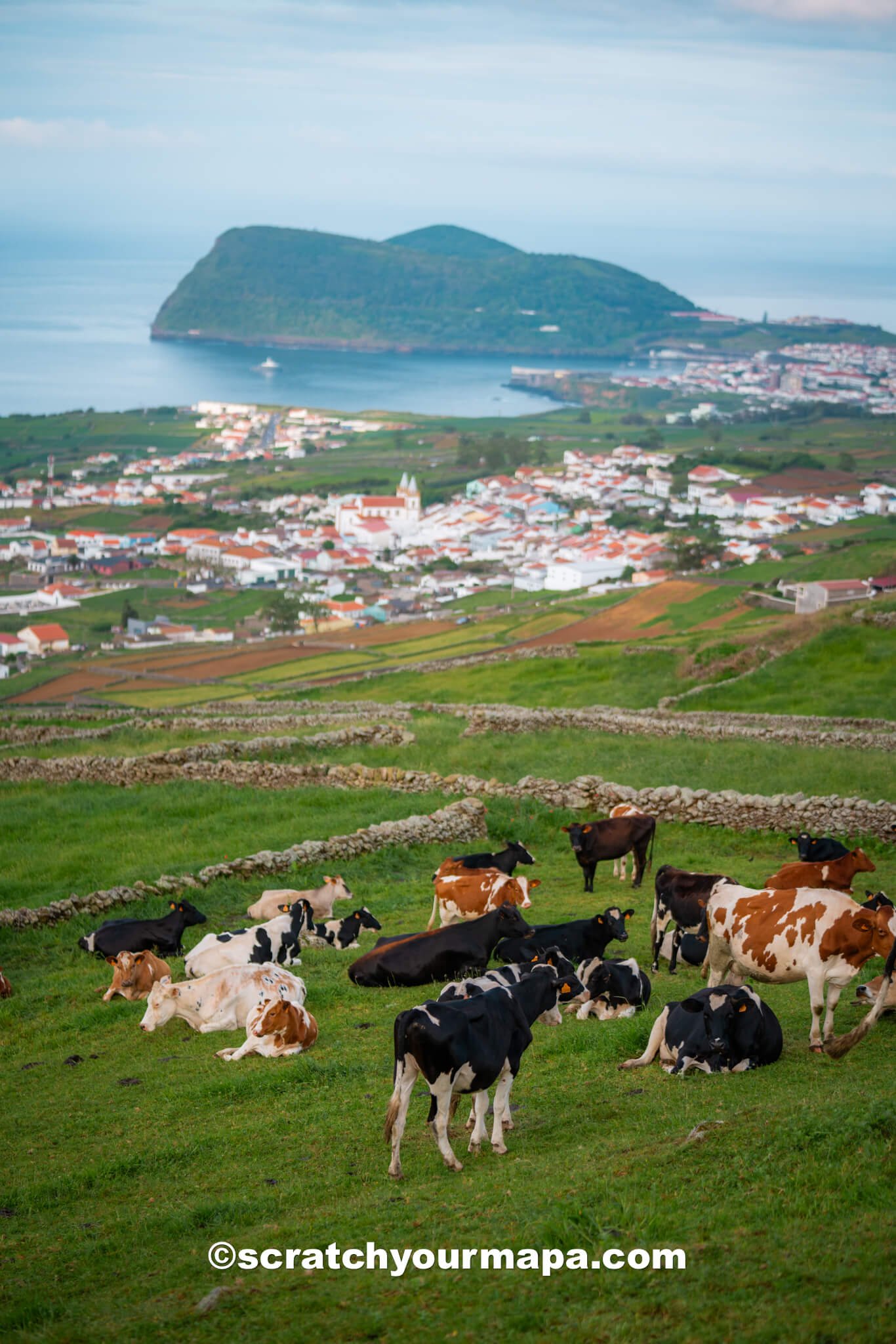 things to do in Terceira, Portugal