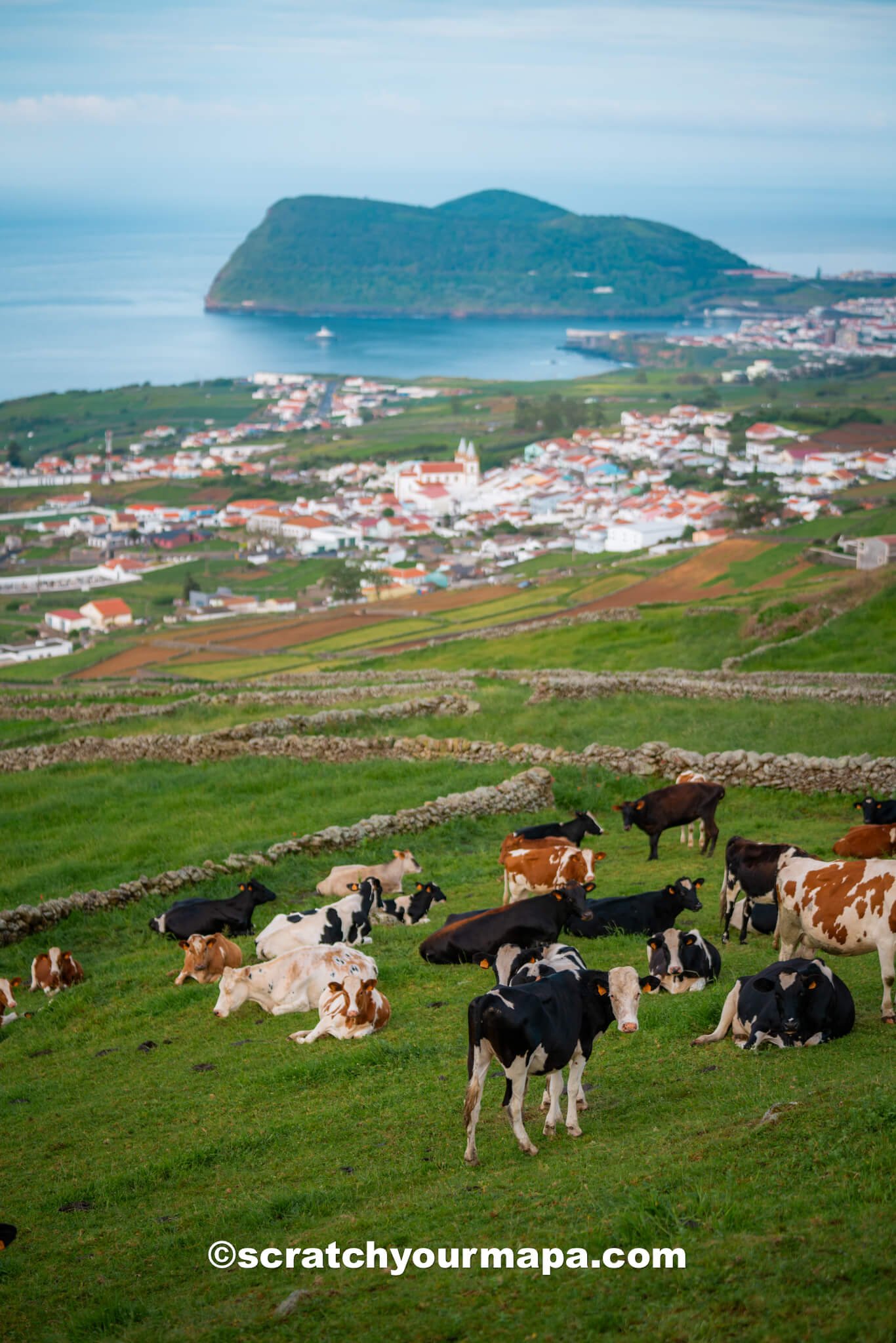 things to do in Terceira, Portugal