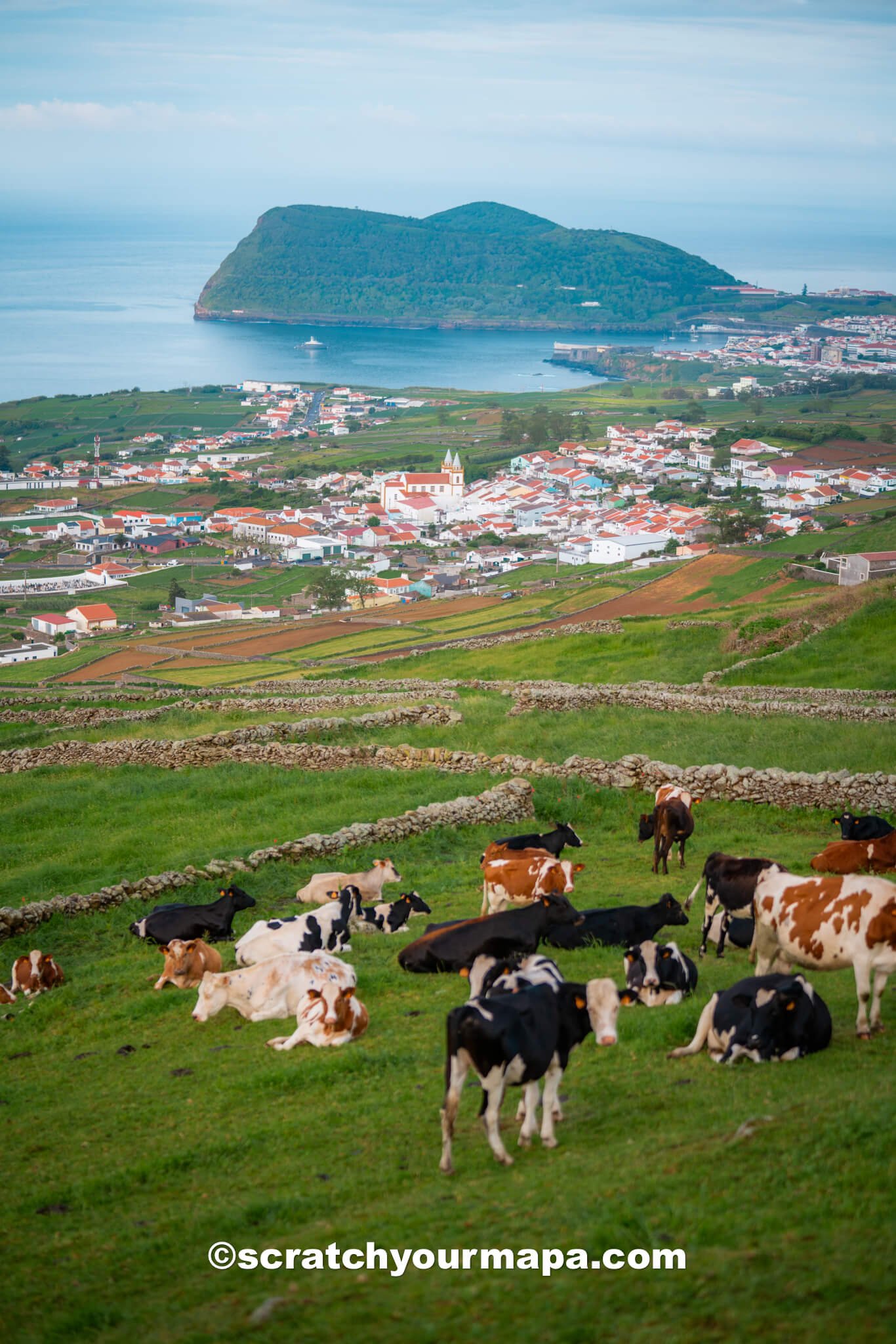 Terceira - how to get around the Azores
