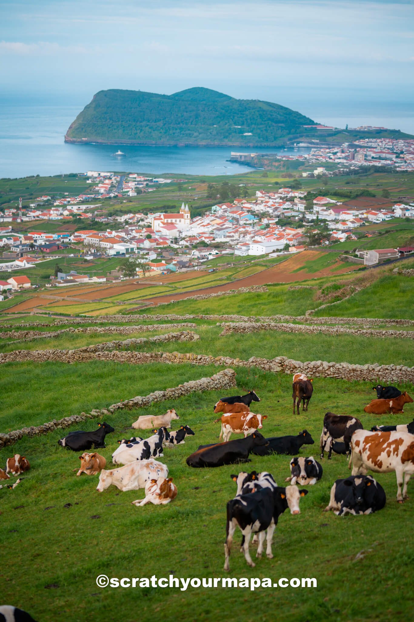 the best time to travel to Terceira, Azores