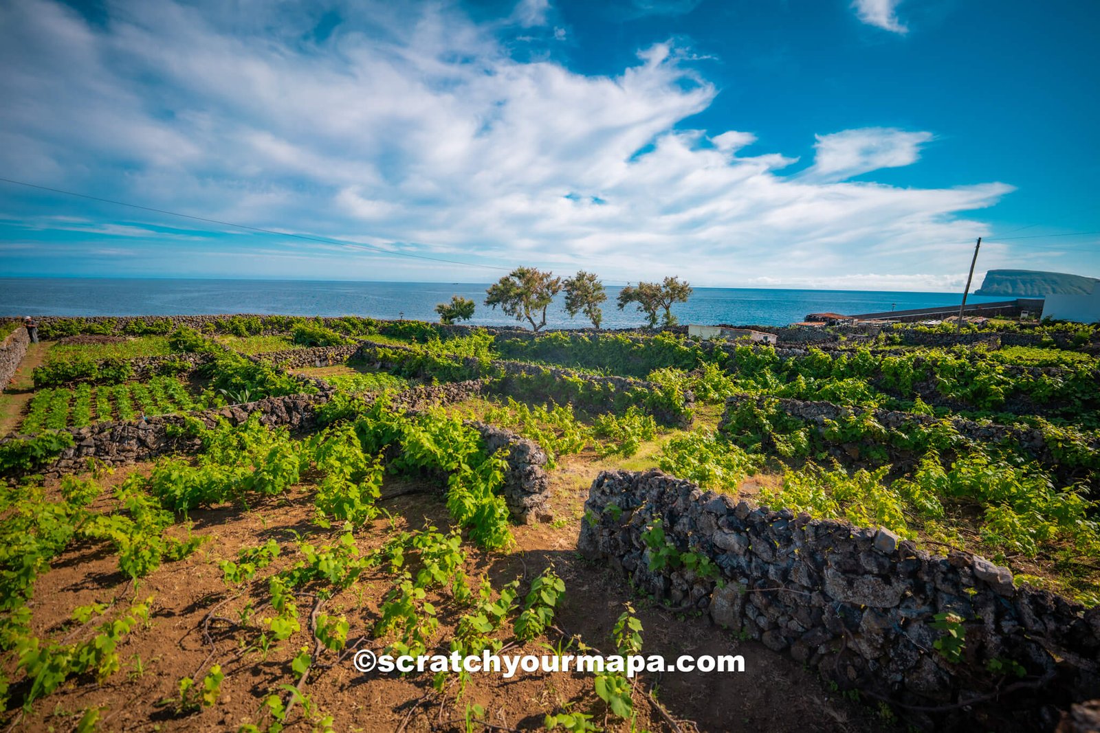 The Azores or Madeira?