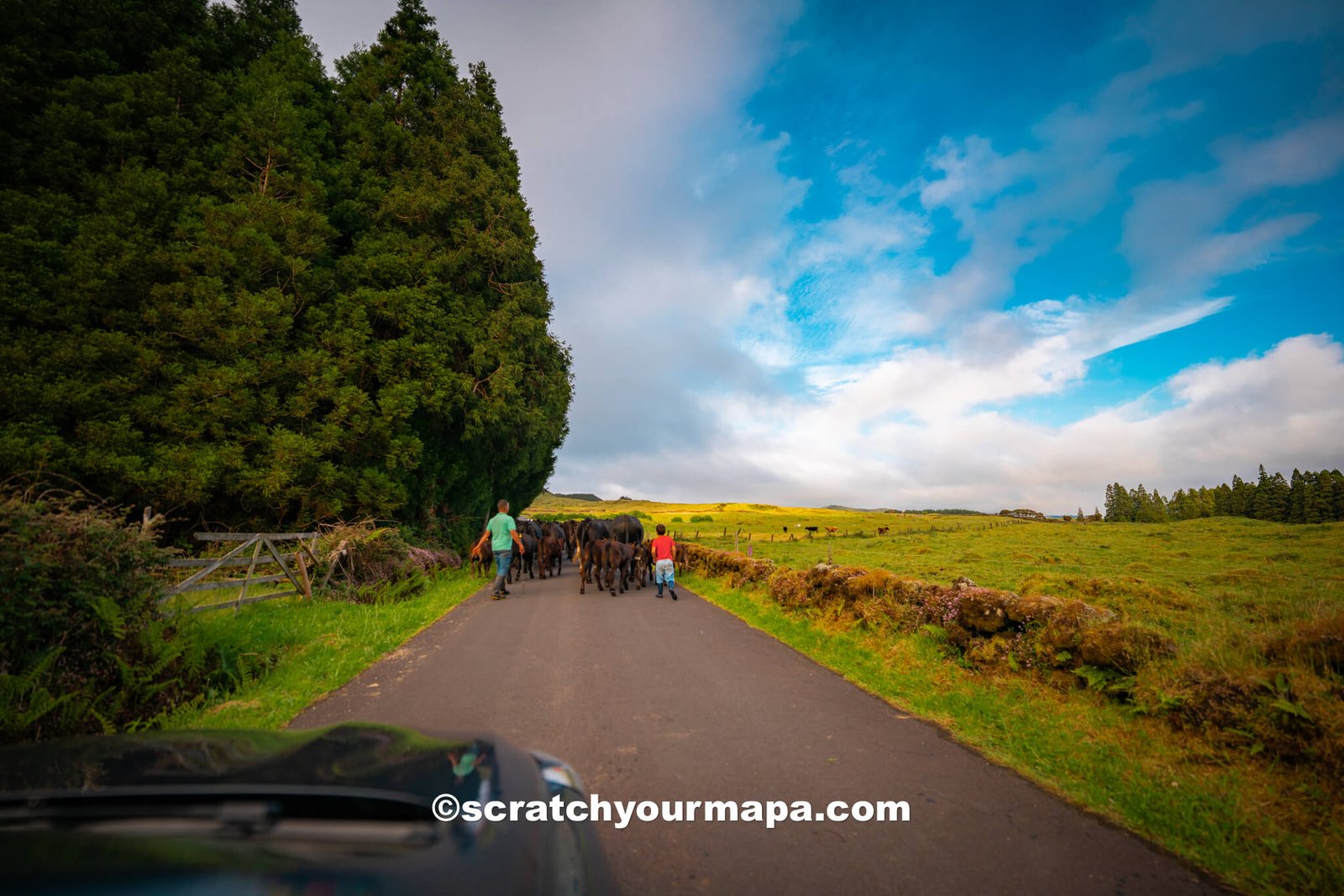 how to get around the Azores by car