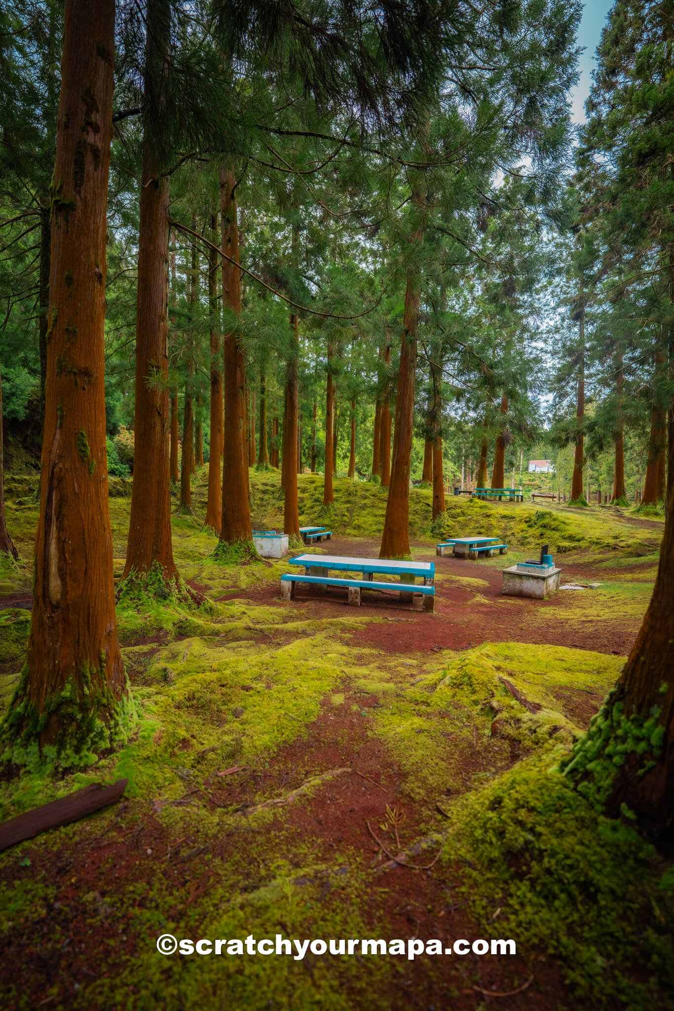 Azores travel tips guide