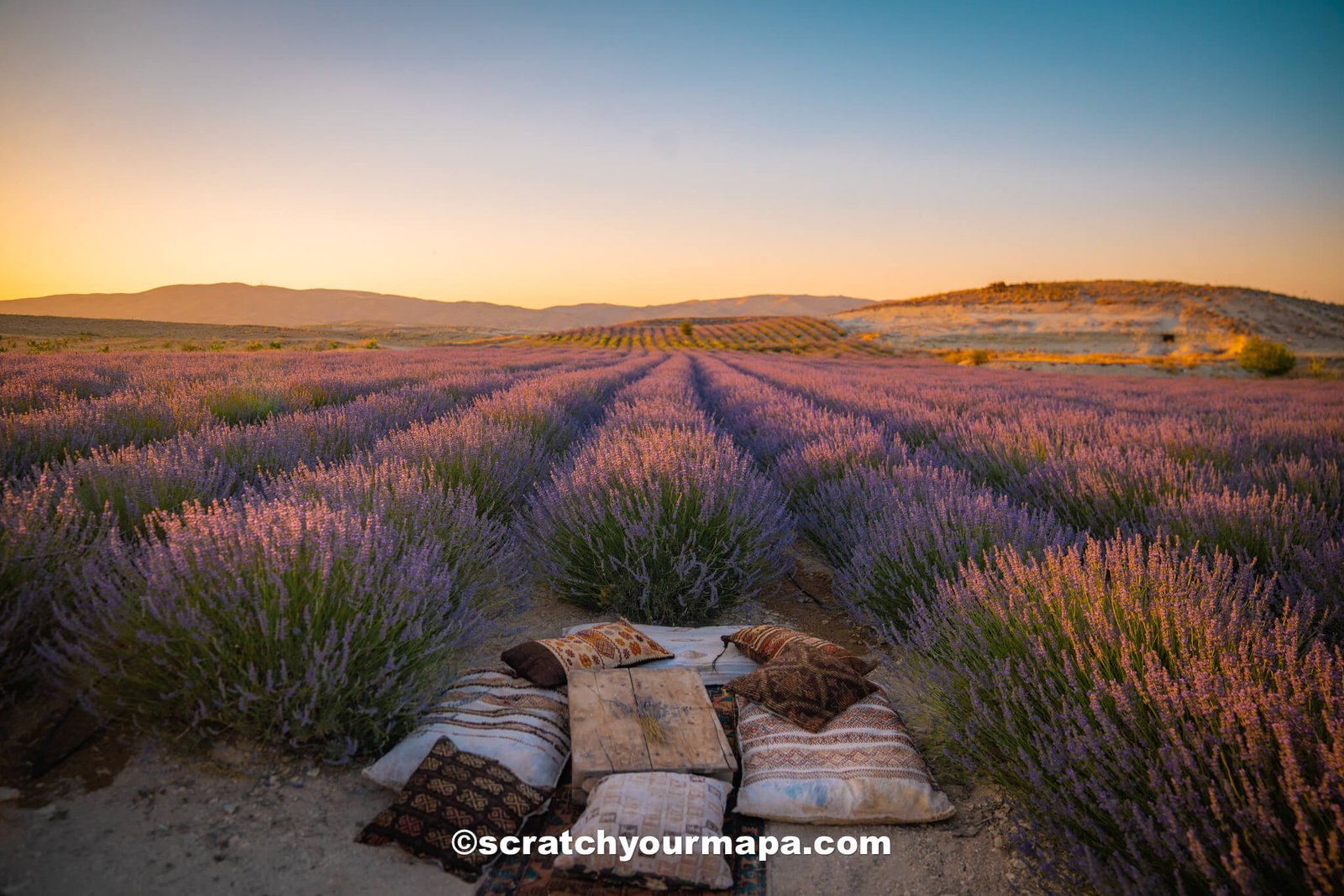 Lavender fields - best sunset spots in Cappadocia