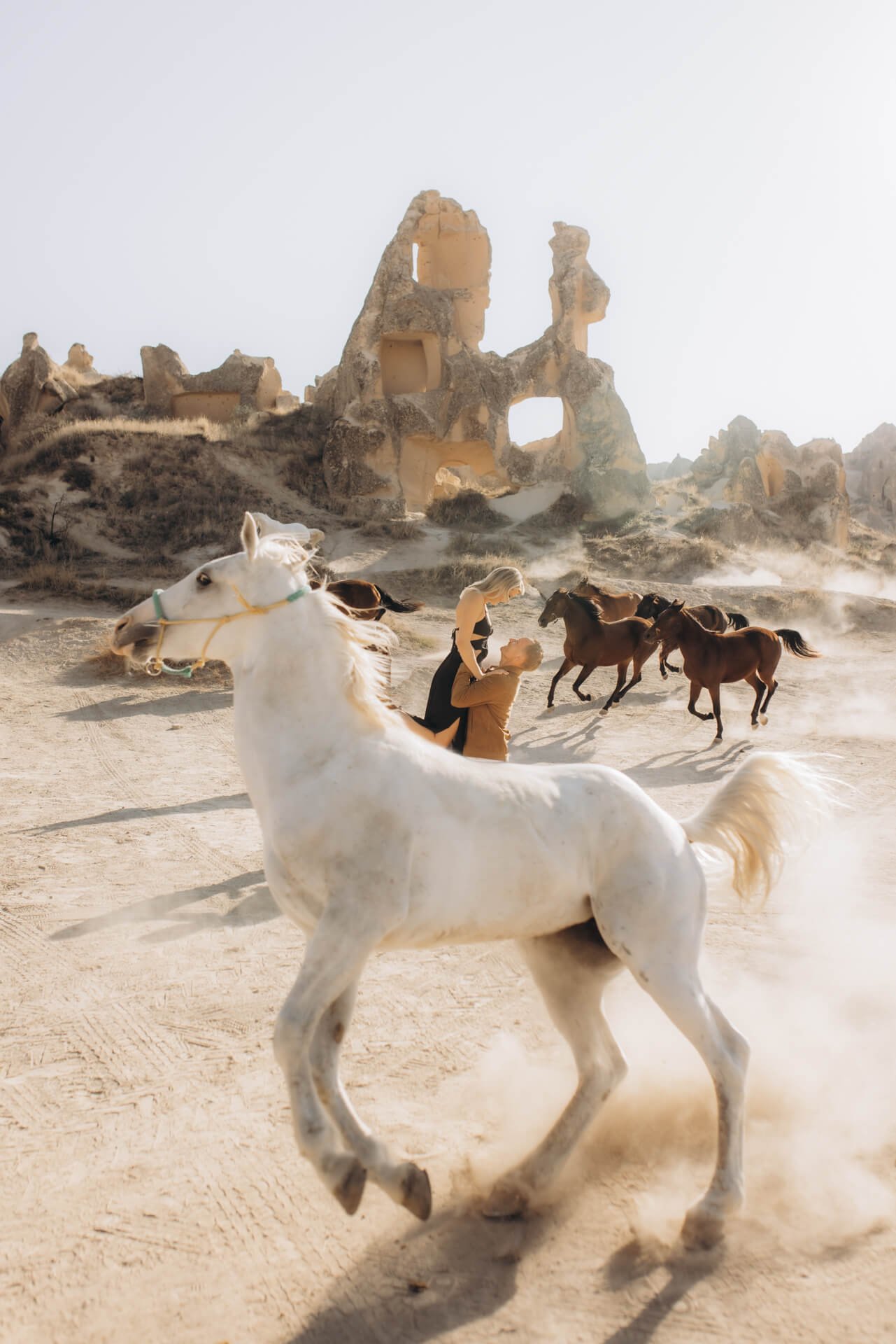Selim Sendal horse photoshoot