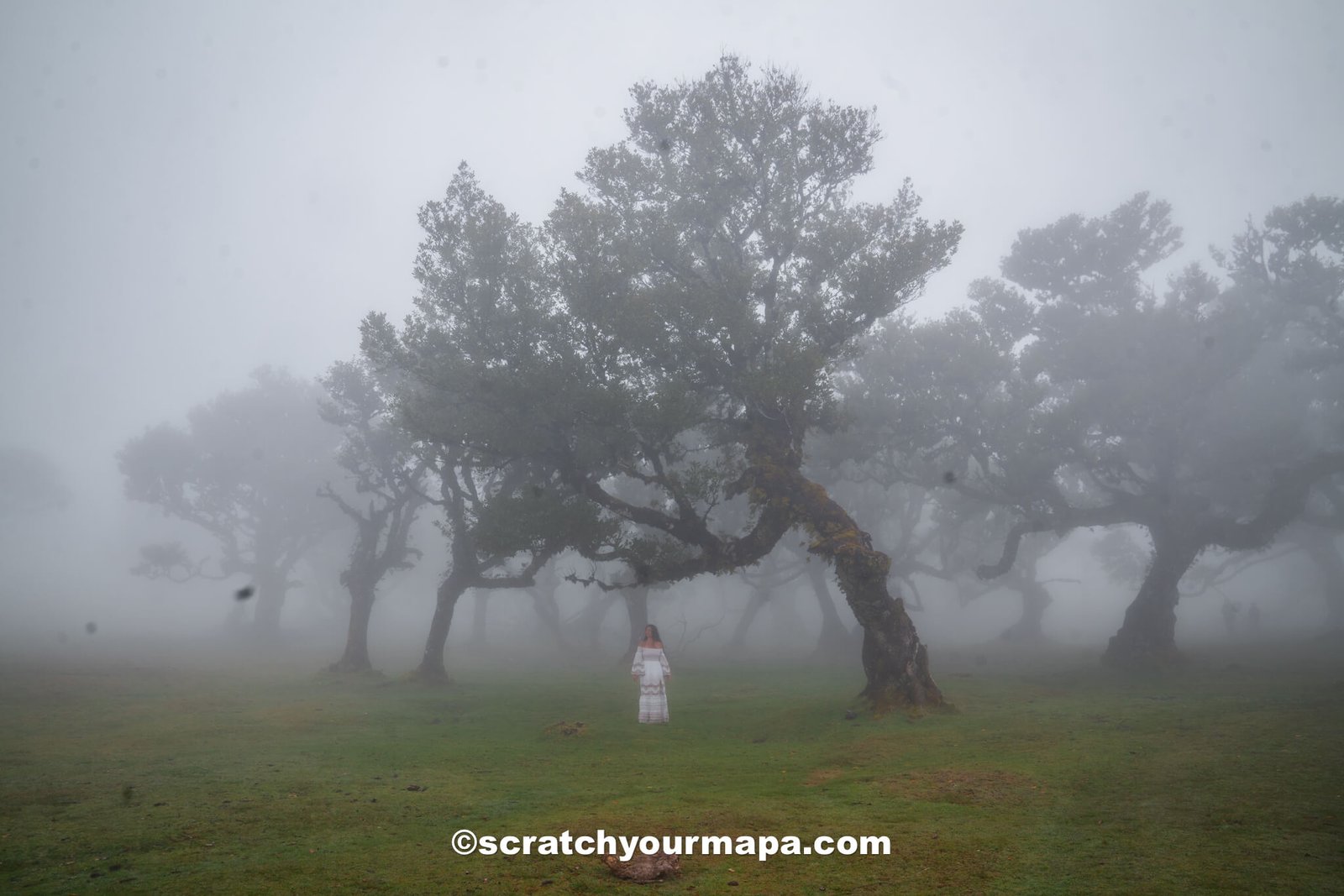 beautiful places to visit in Madeira, Portugal