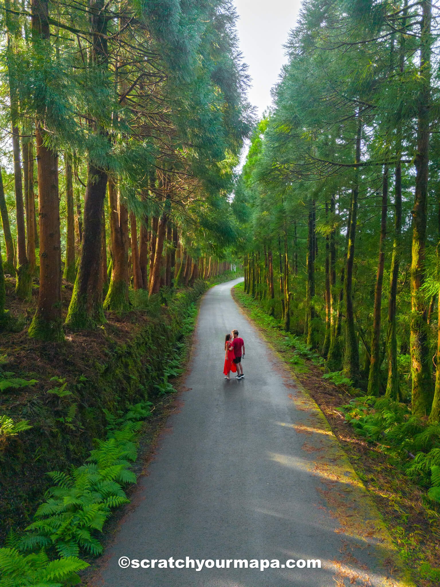 Terceira Island in the Azores