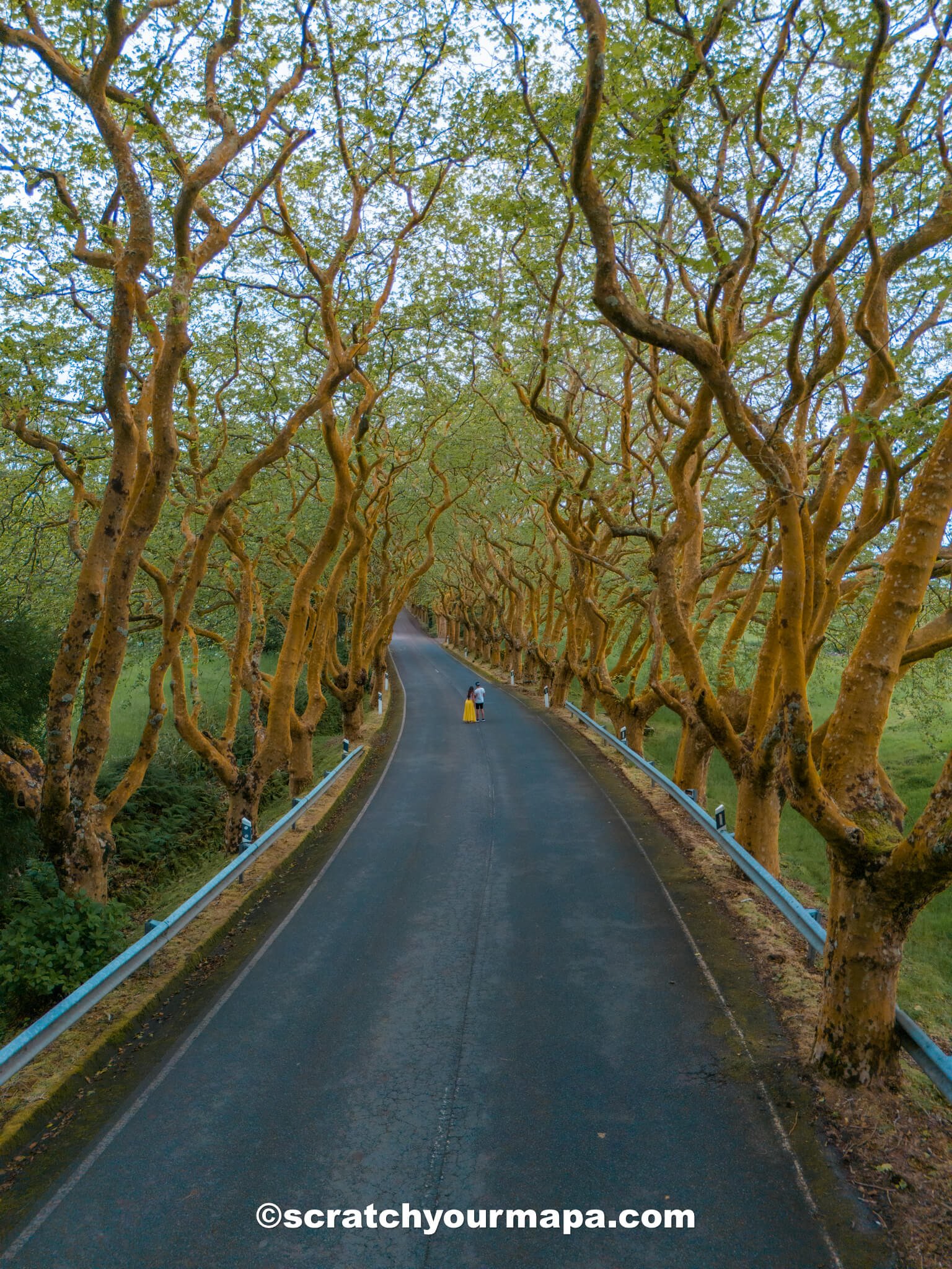 Terceira - Azores travel guide