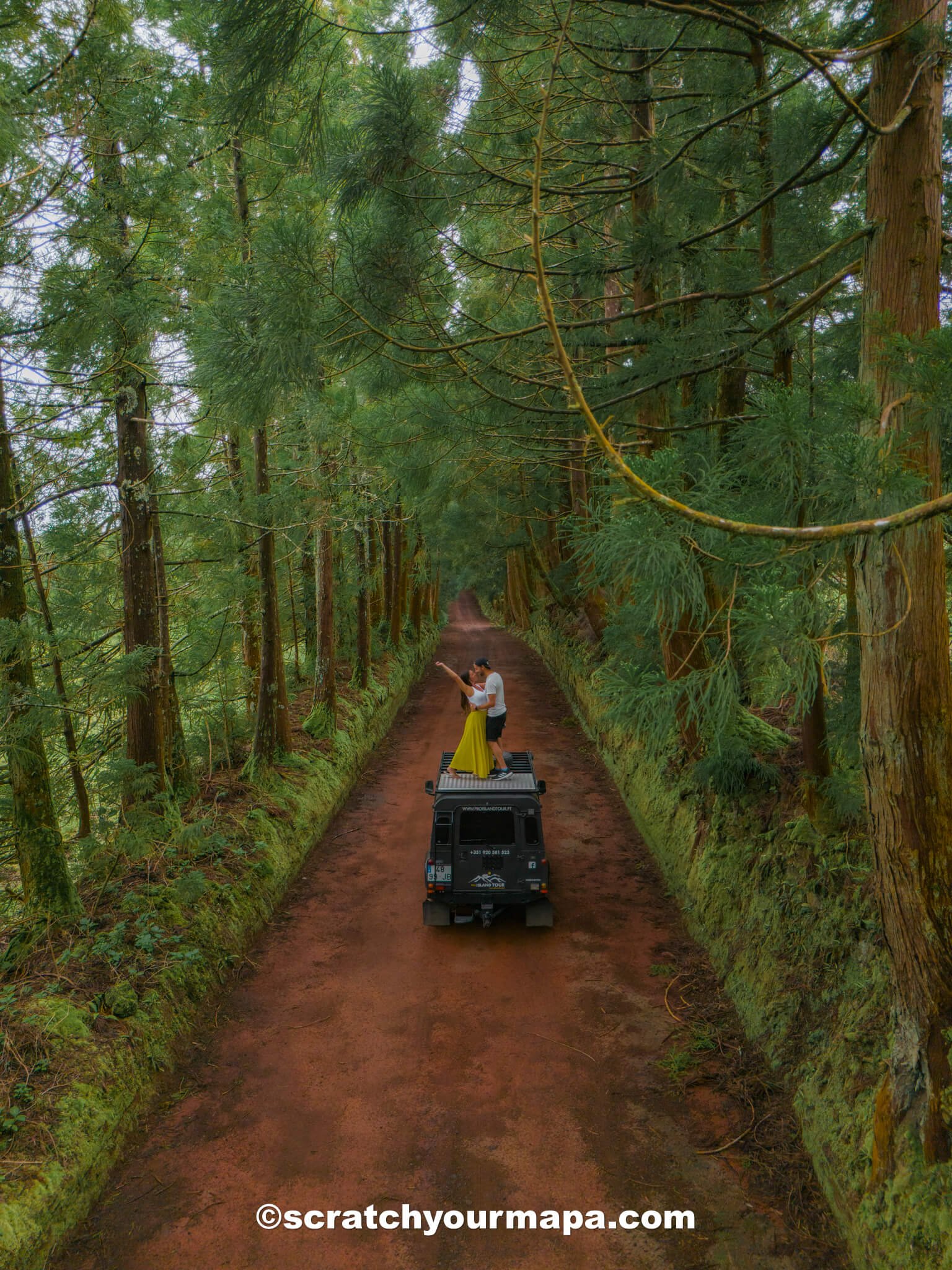 tree tunnel - best photo spots in Terceira