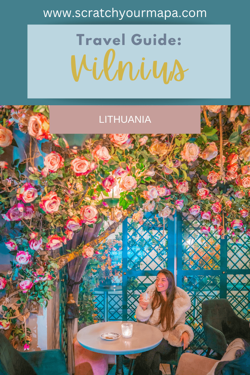 Vilnius travel guide pin