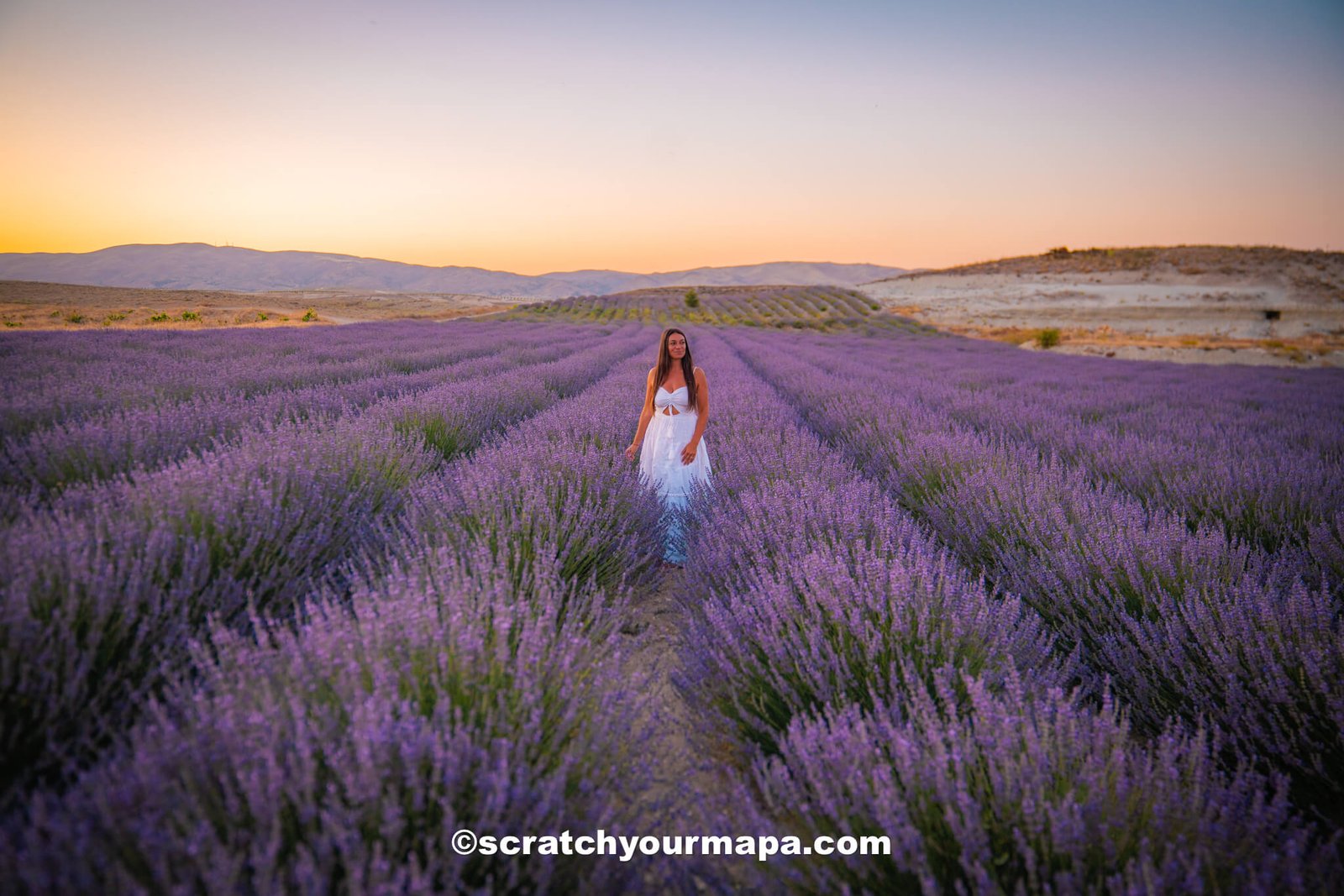 lavender fields of Cappadocia - the best time to visit Cappadocia