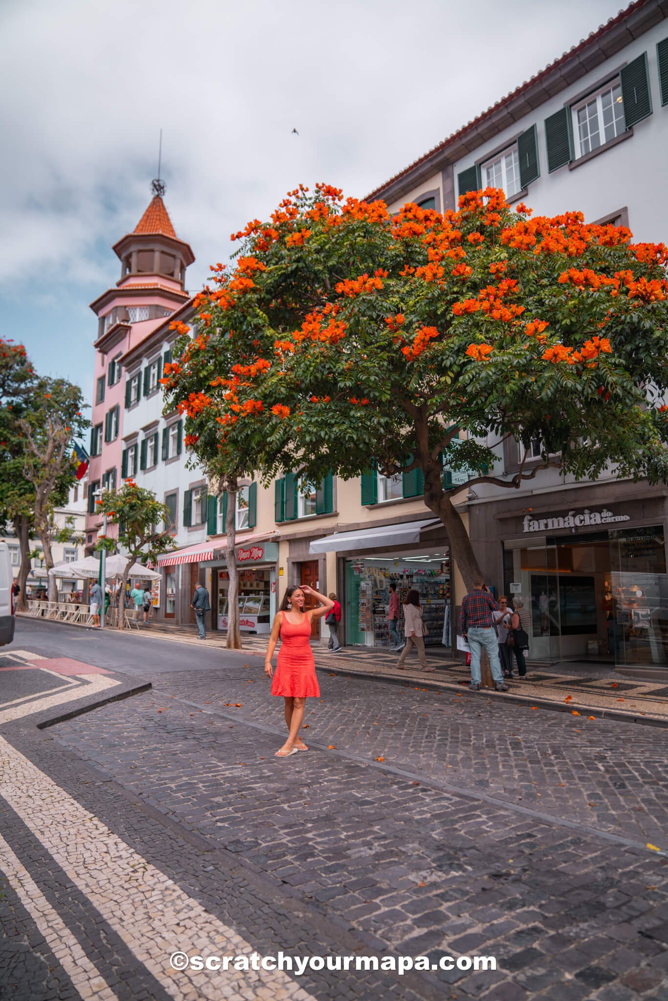 Funchal market - best photo spots in Madeira