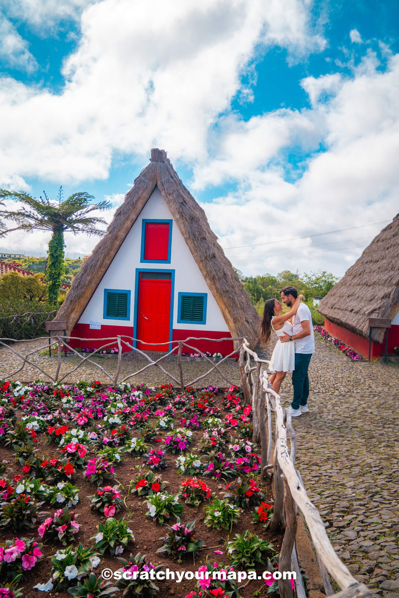 flowers in Madeira