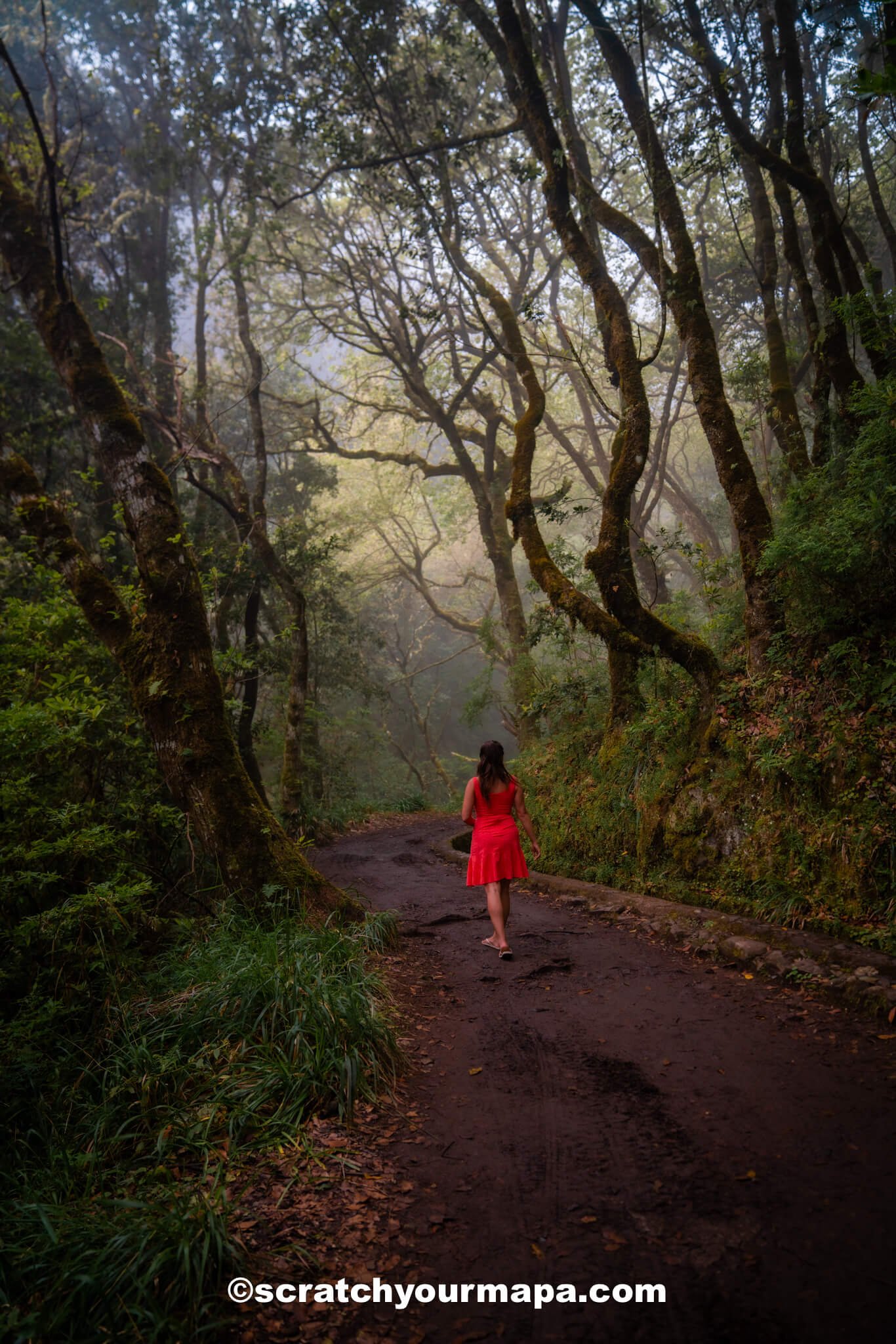 Levada dos Balcoes - best hiking trails and photo spots in Madeira