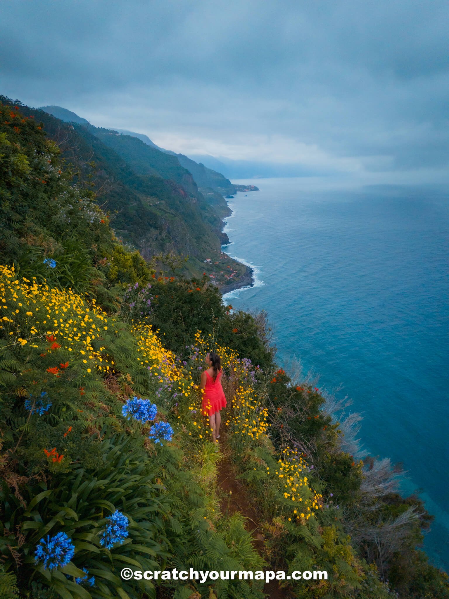 flowers in Madeira