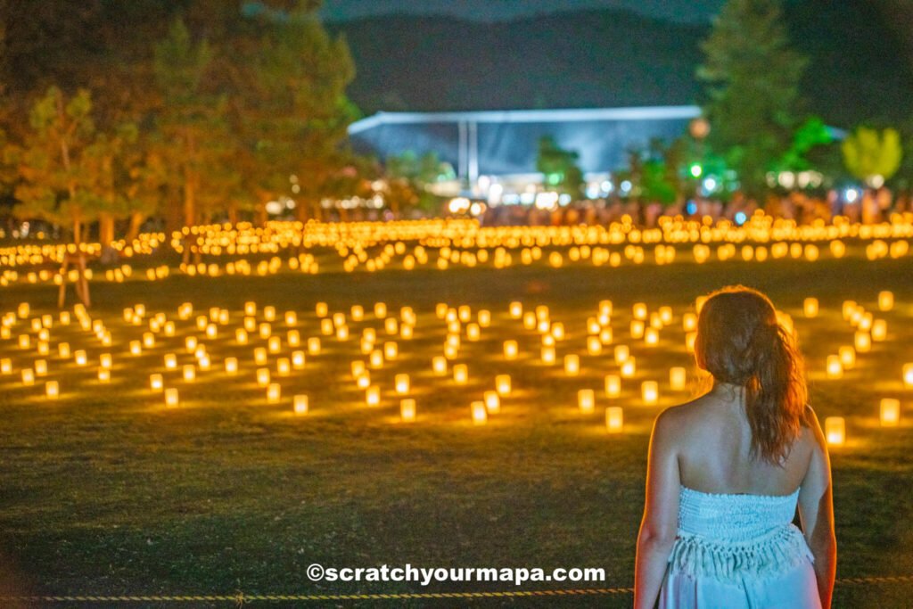 fields of candles at Nara Tokae Festival - best time to visit Japan