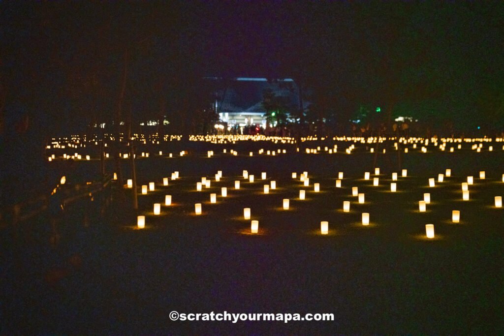 Nara Lantern festival - how to find festivals around the world