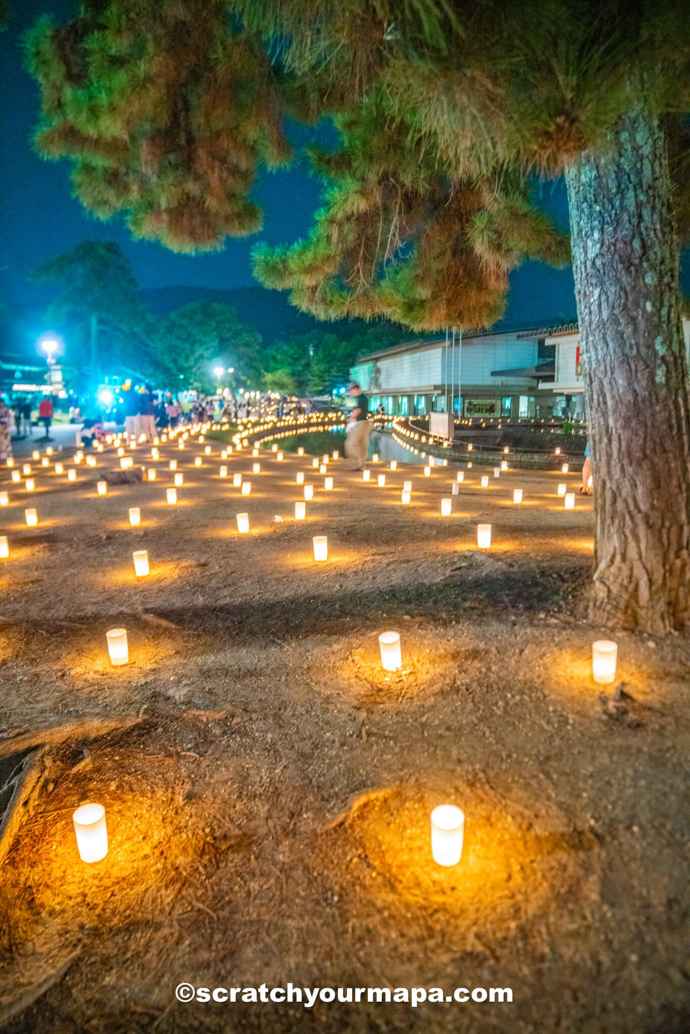 fields of candles at Nara Tokae Festival