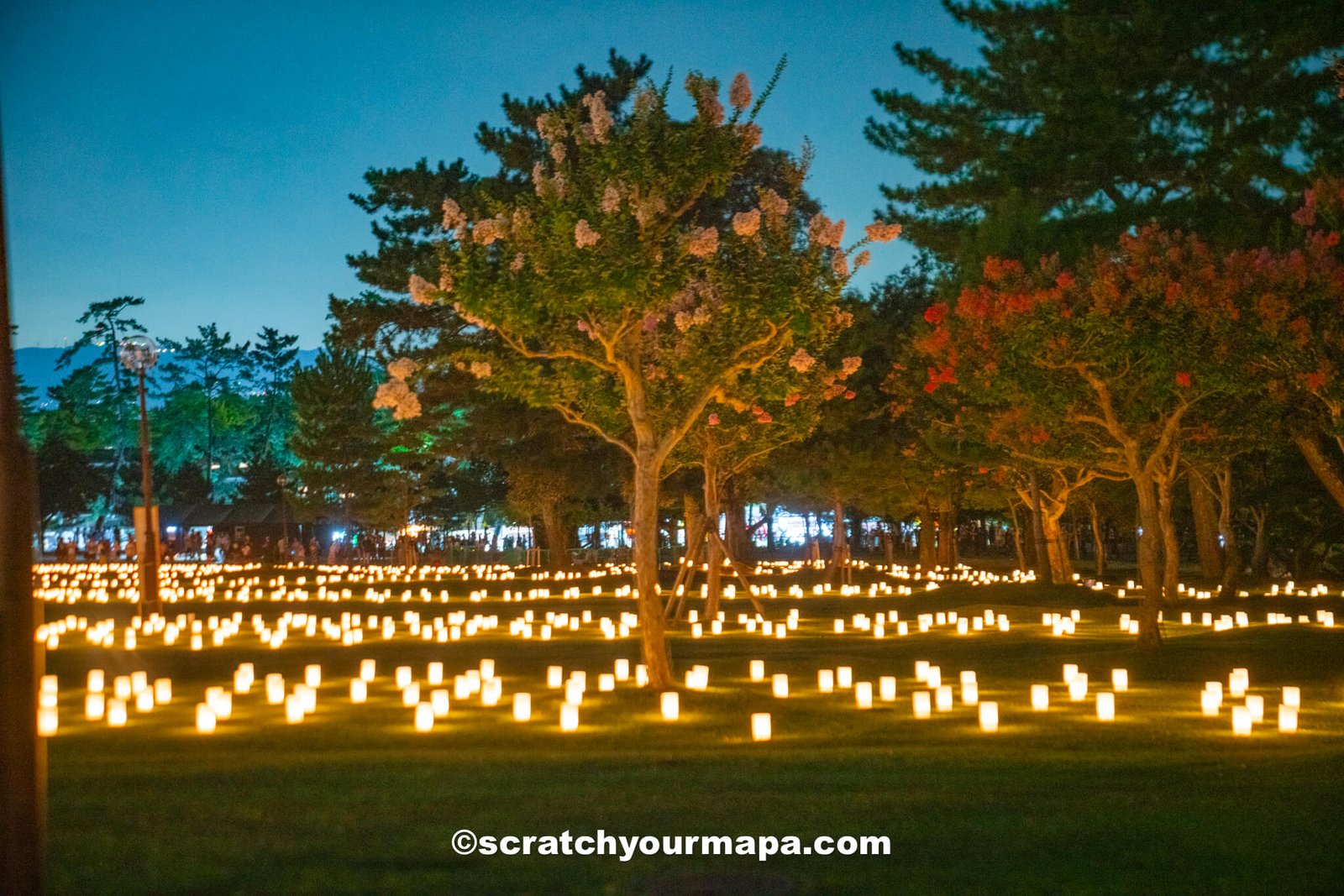Nara lantern festival