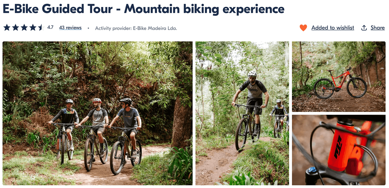 e-bike tour - best things to do in Madeira