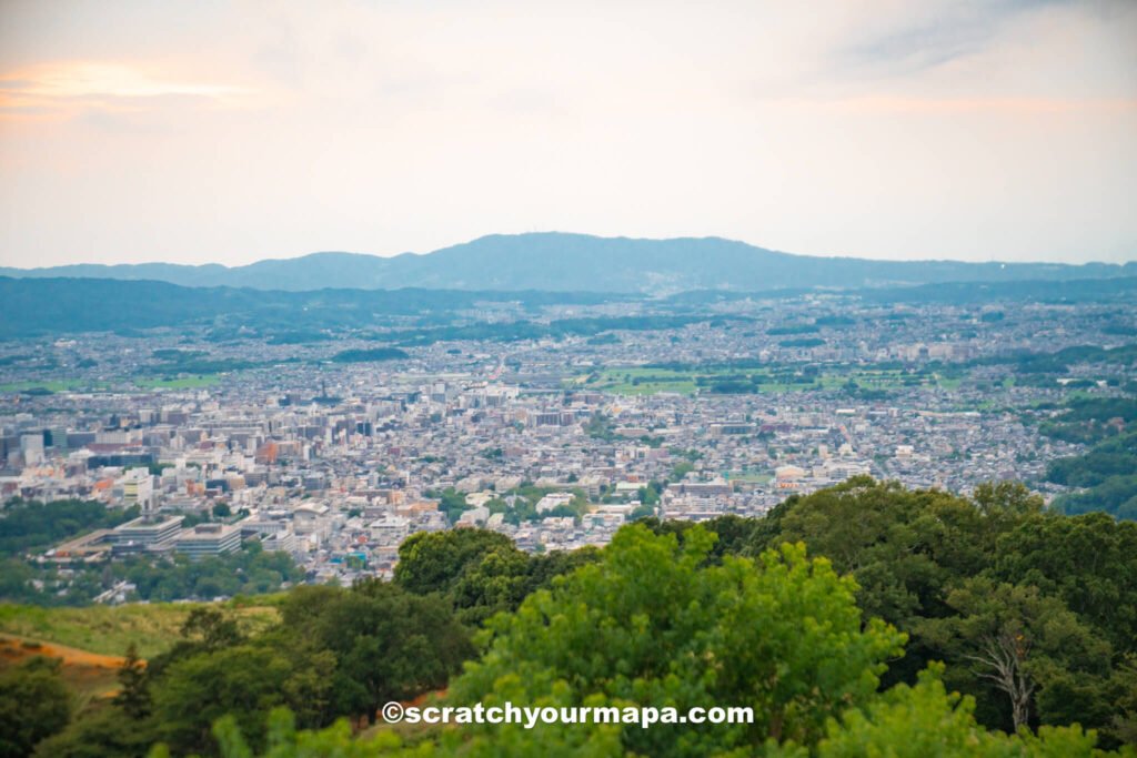 complete Nara travel guide