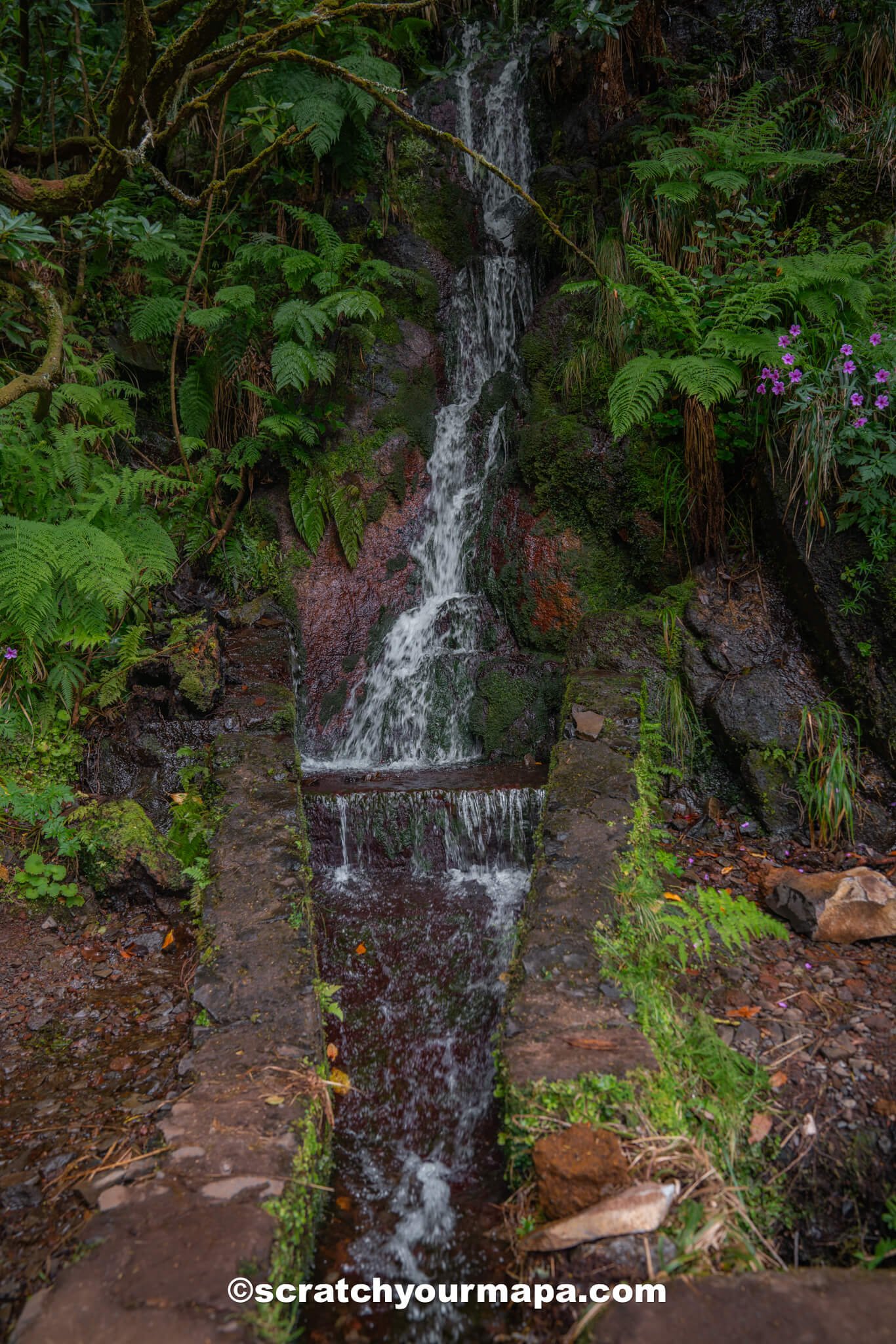 Levada das 25 Fontes hike Madeira