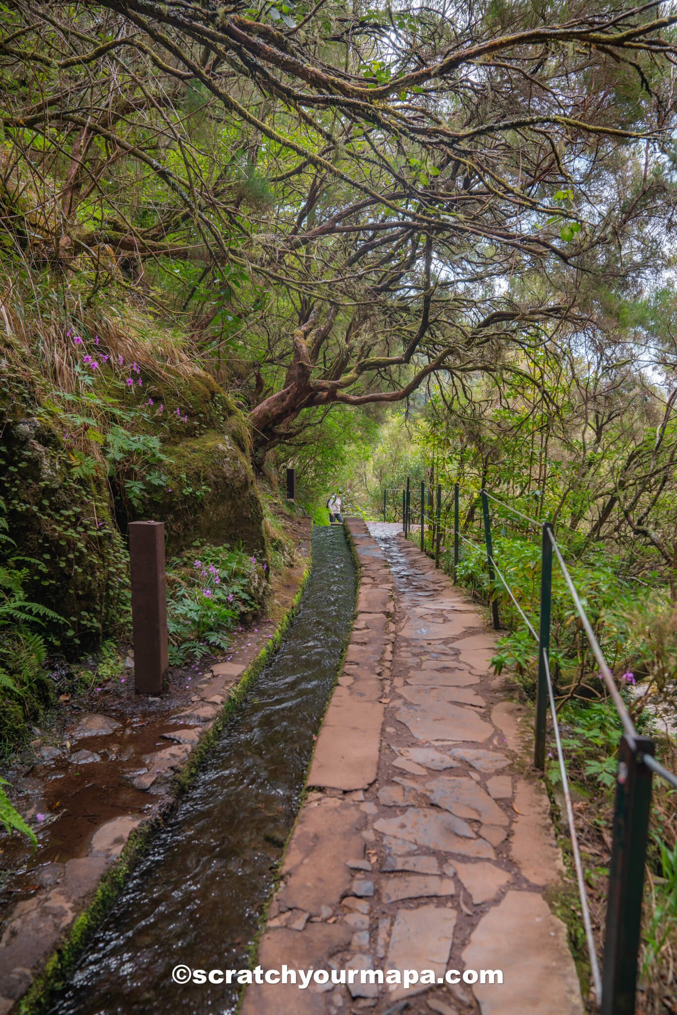 Levada das 25 Fontes hike Madeira